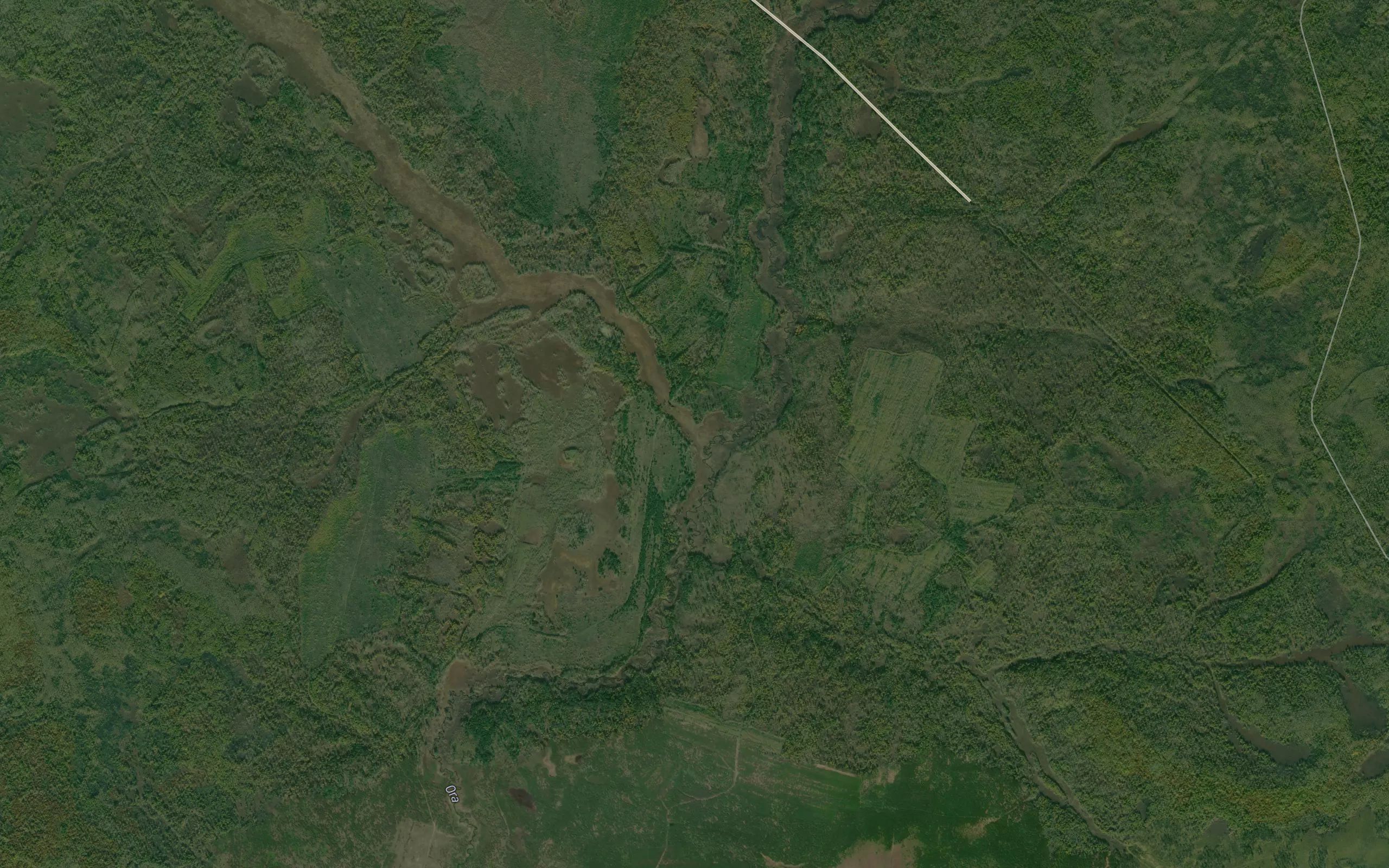 Nikolayevskiy