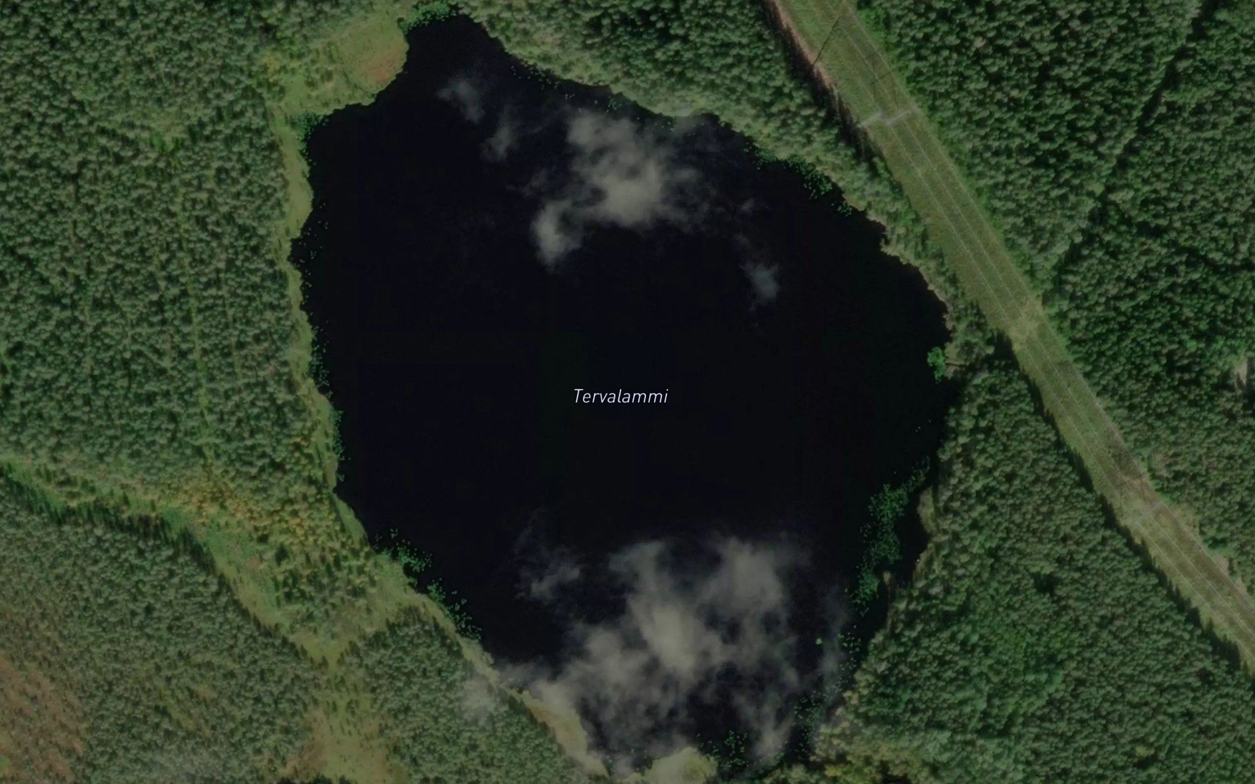 Tervalammi