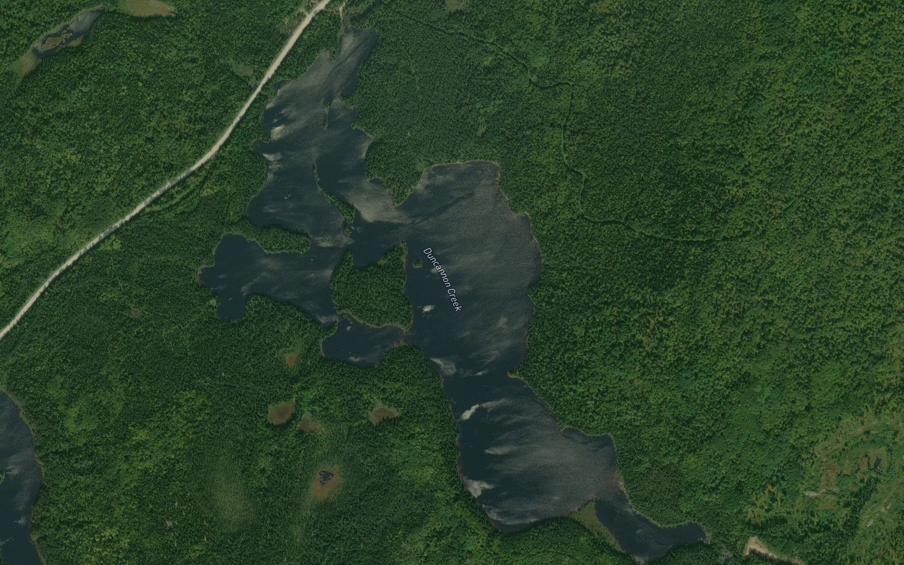 Satellite map of the Duncannon Lake