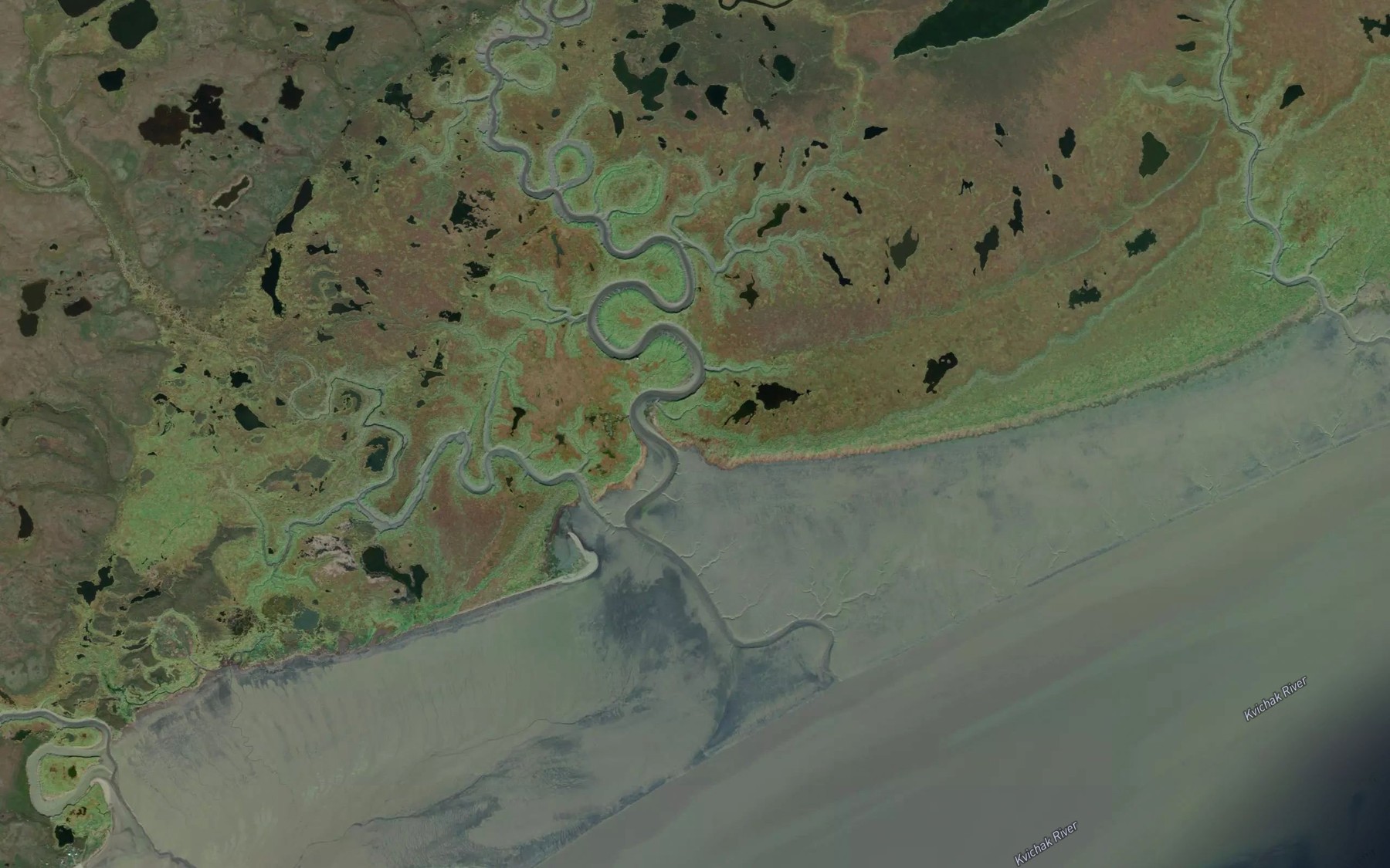 Satellite map of the King Salmon Creek