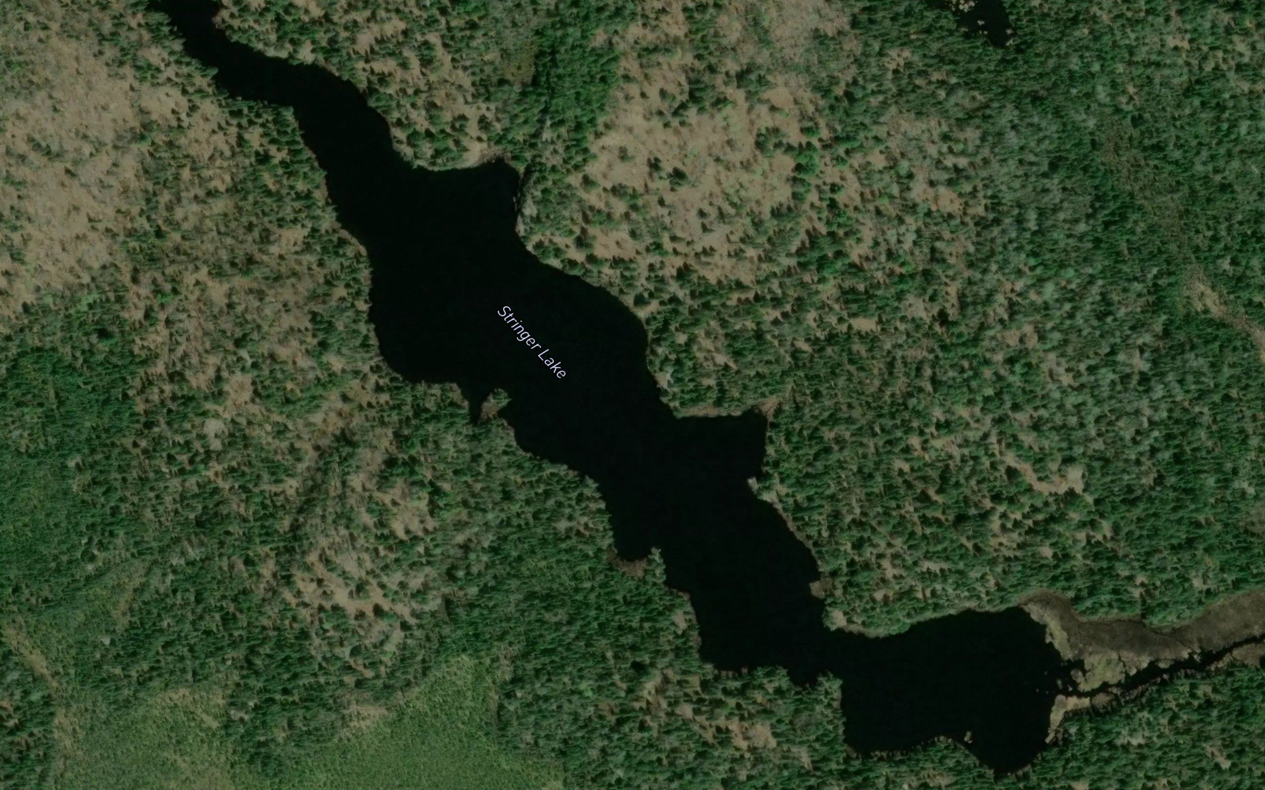 Stringer Lake