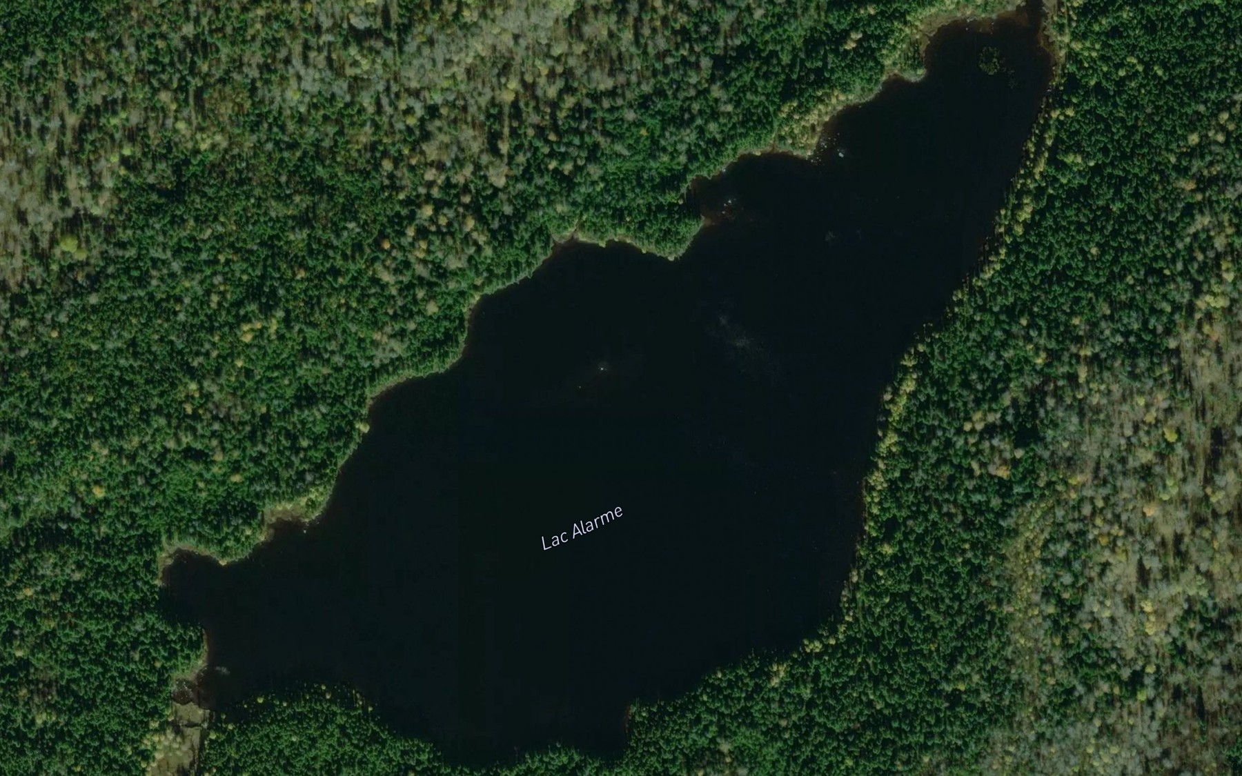 Satellite map of the Lac Alarme