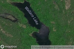 Wallace Lake