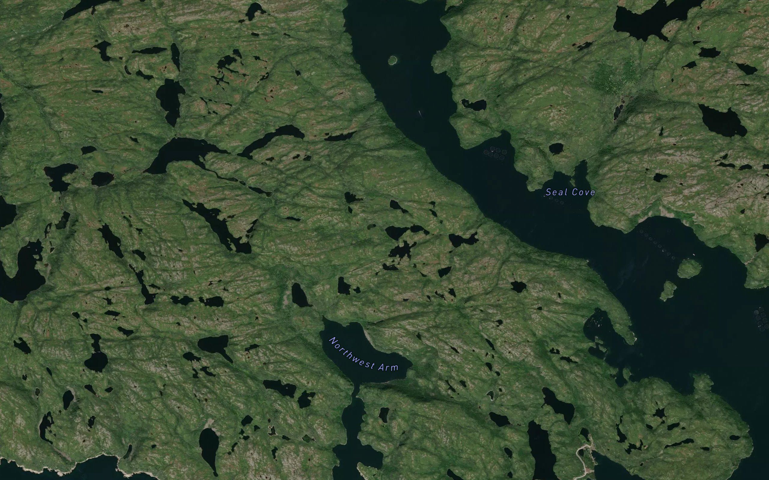 Northwest Arm
