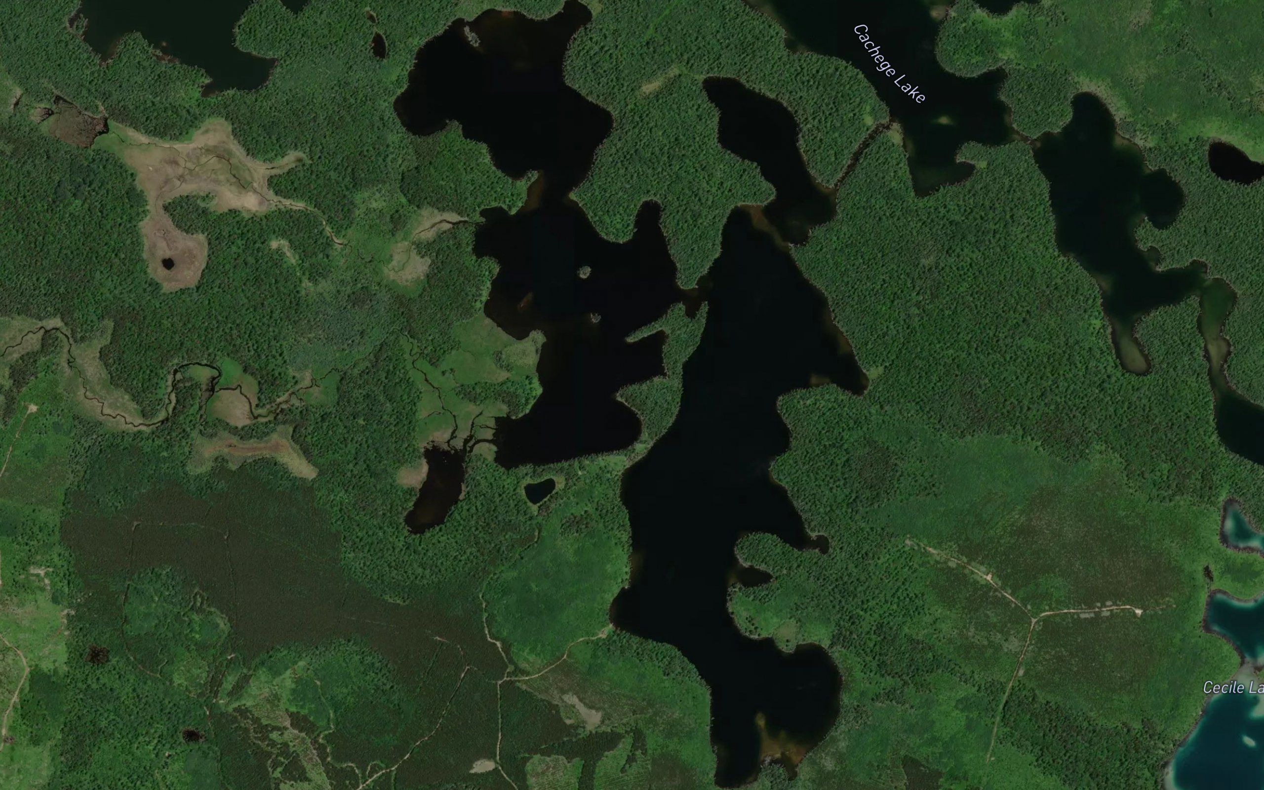McNaught Lake