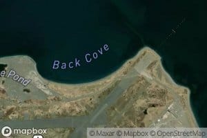 Back Cove