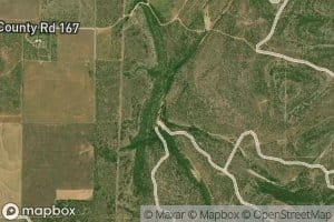 Bluff Creek
