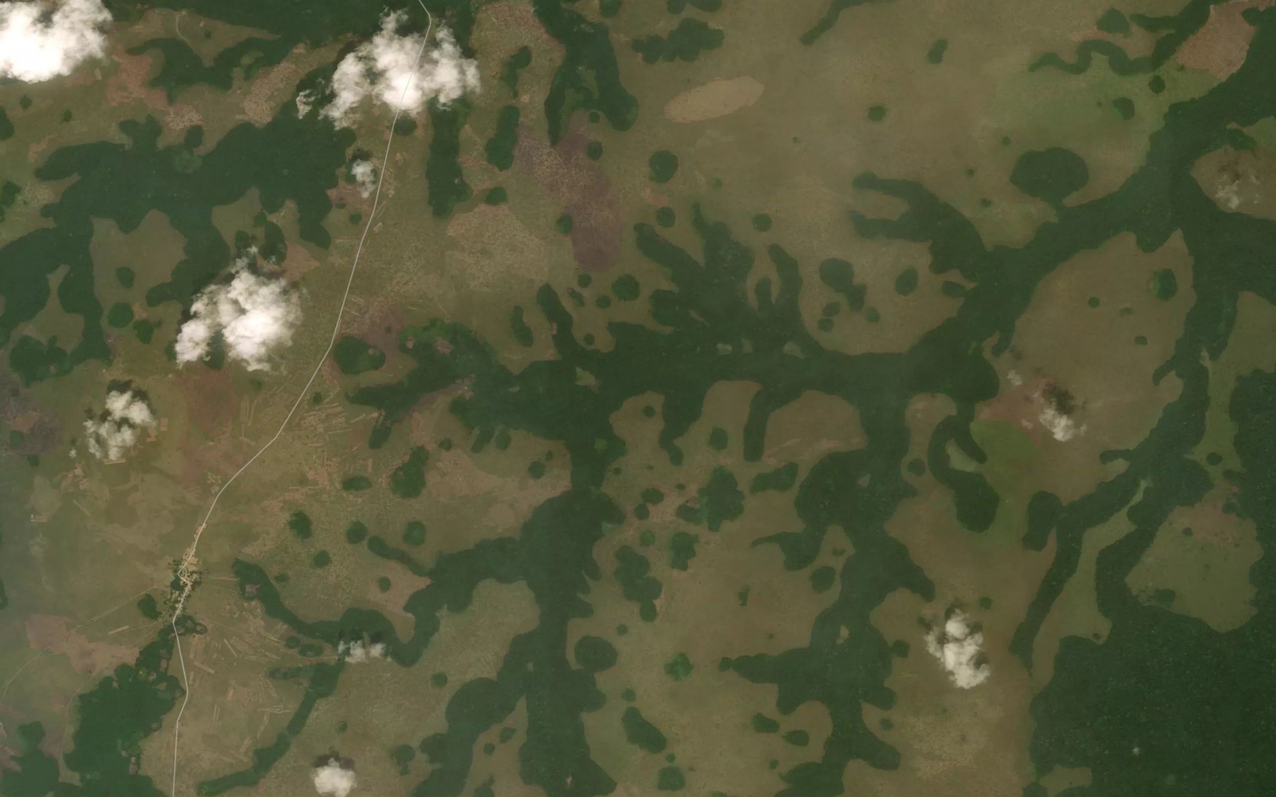 Satellite map of the Lekouni