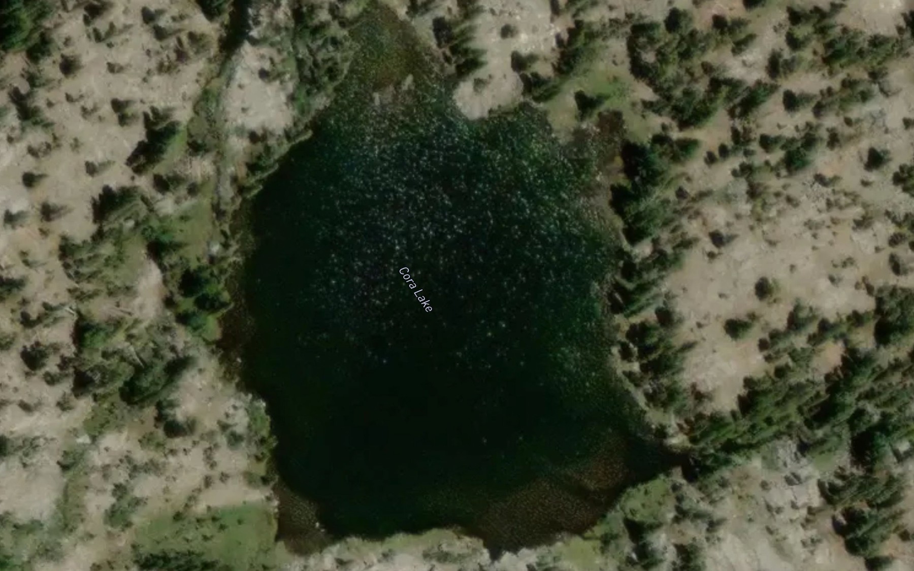 Satellite map of the Cora Lake
