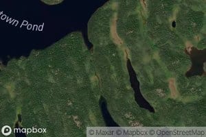Fresh Pond