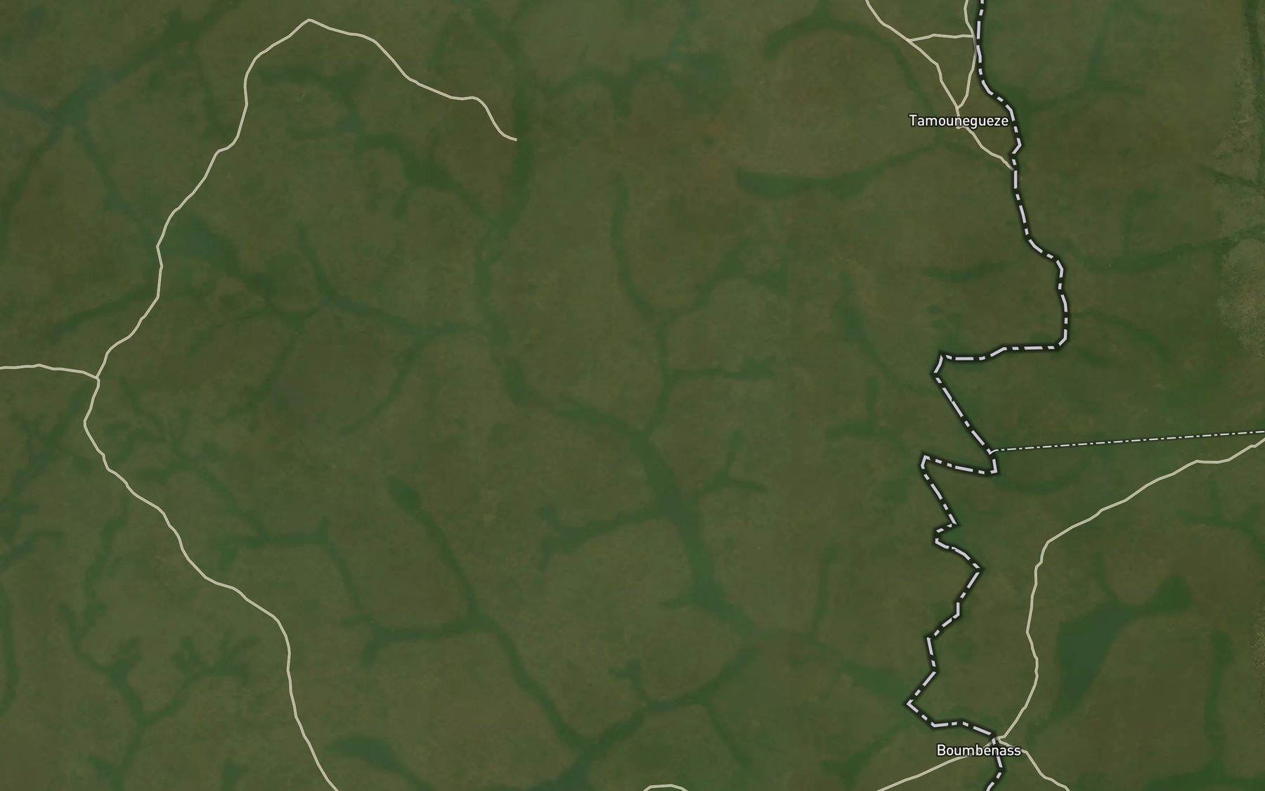 Satellite map of the Likoko