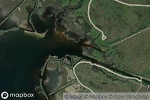 Warren Bayou