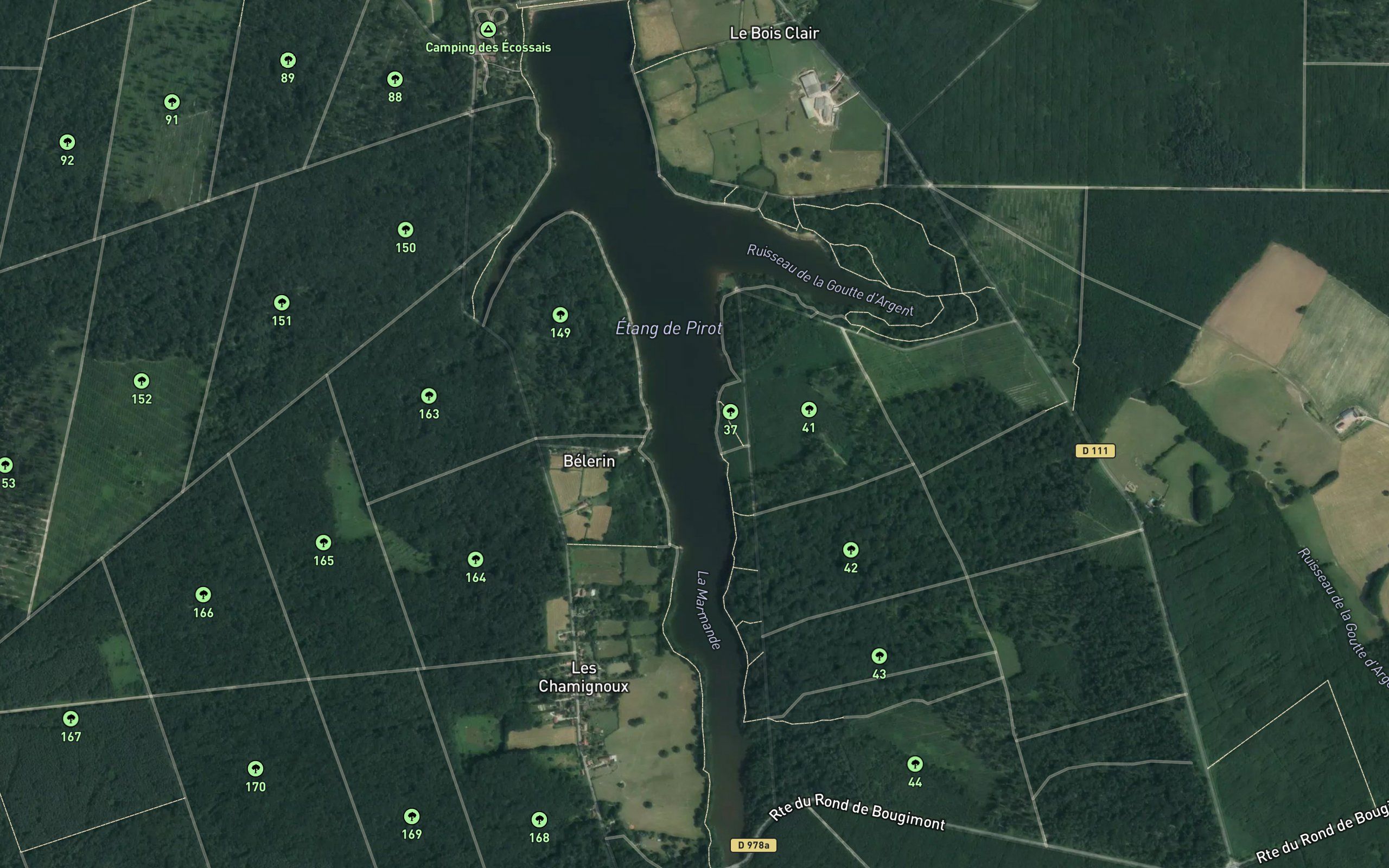 Etang de Pirot
