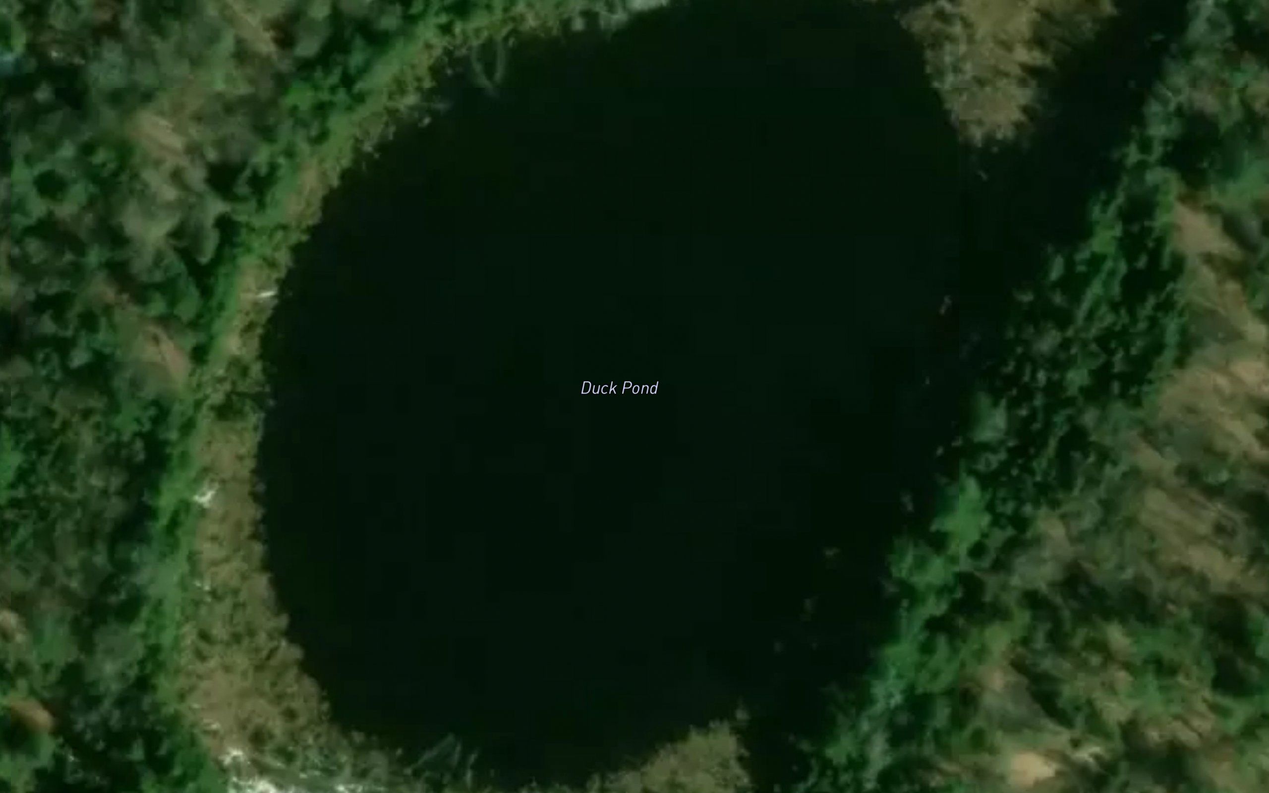 Duck Pond