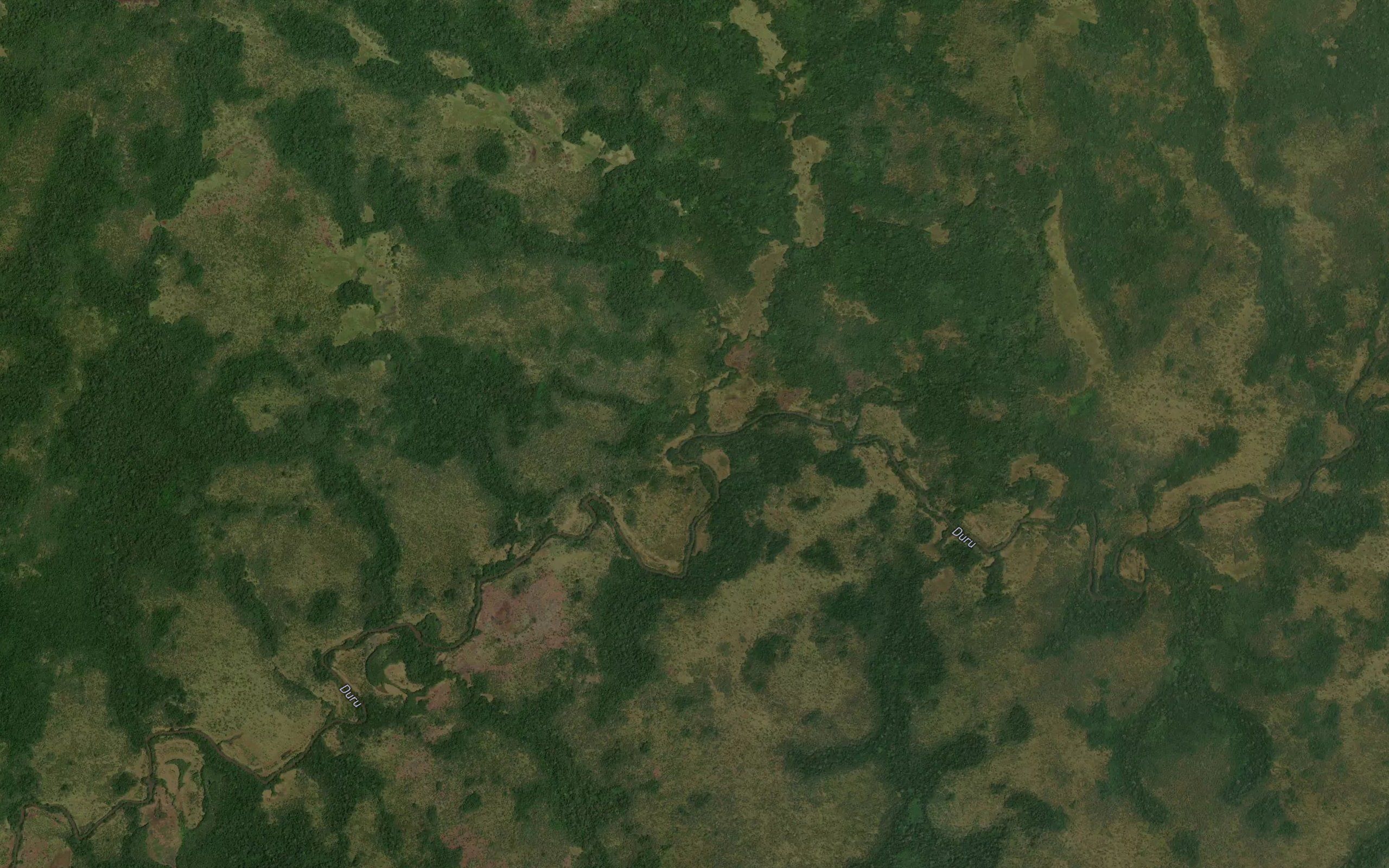 Gongolo