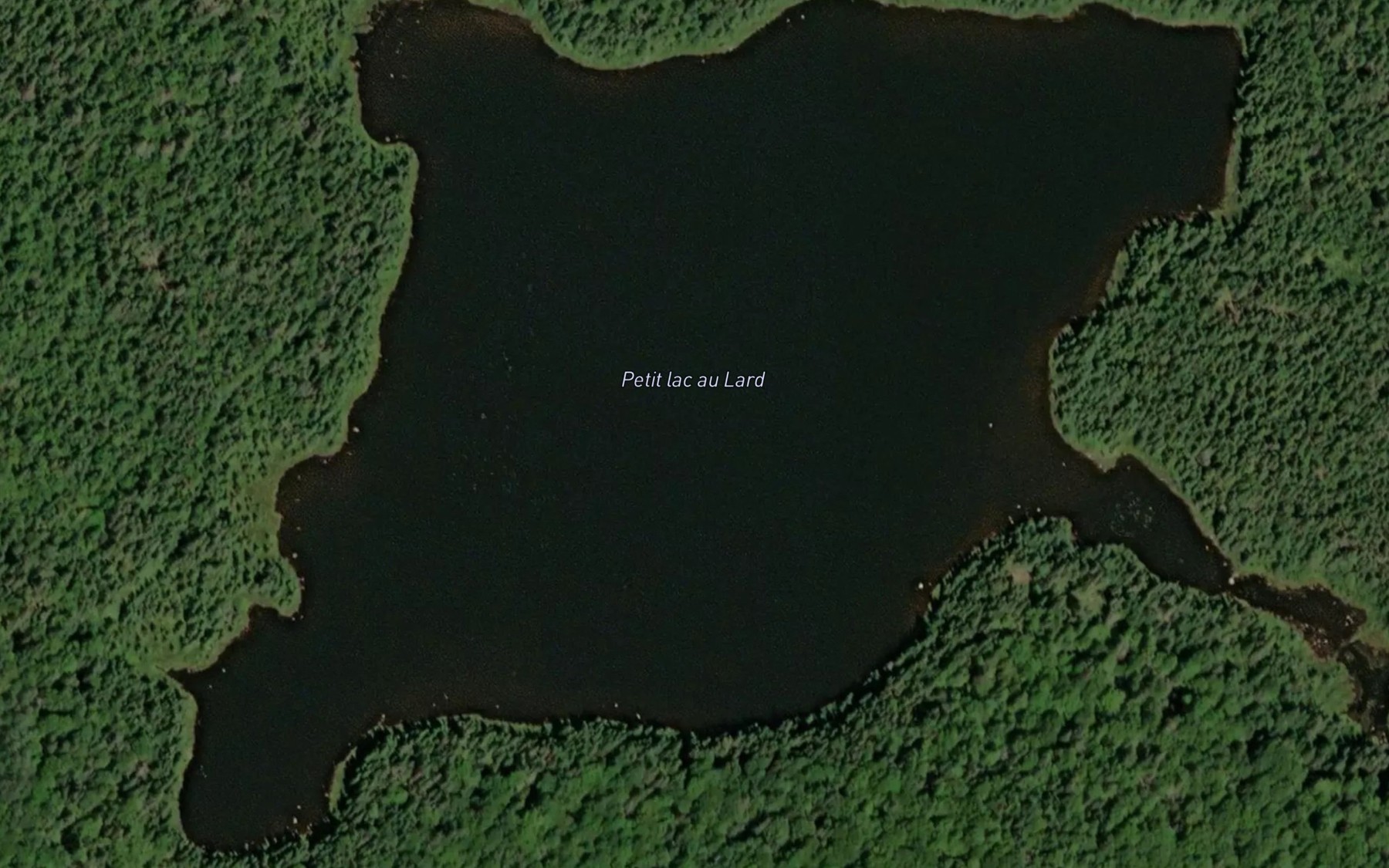 Satellite map of the Petit lac au Lard