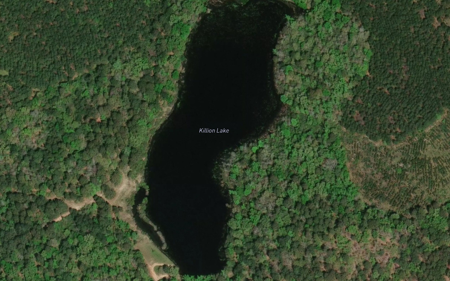 Satellite map of the Killion Lake