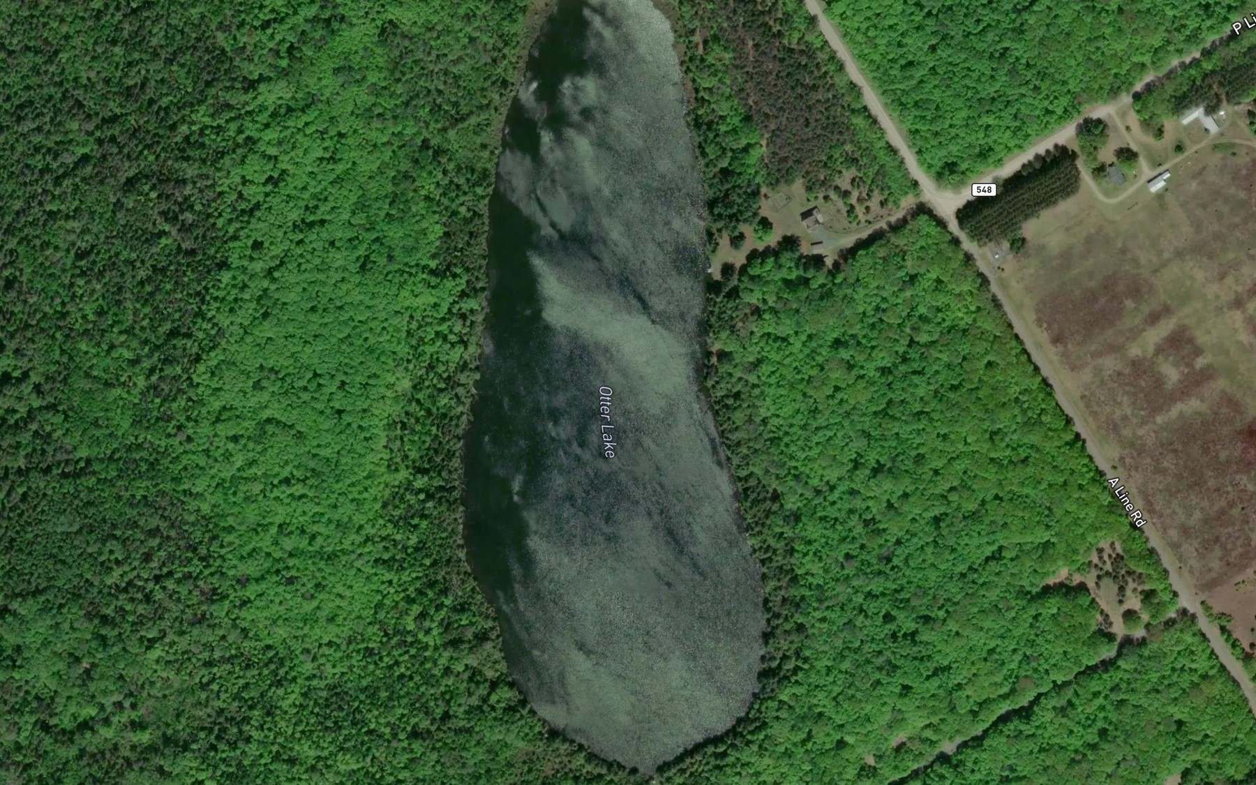 Satellite map of the Otter Lake