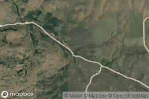 McGuire Spring