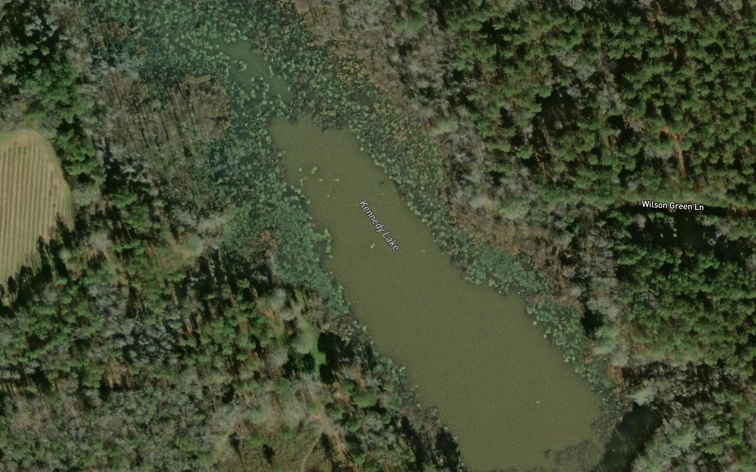 Kennedy Lake