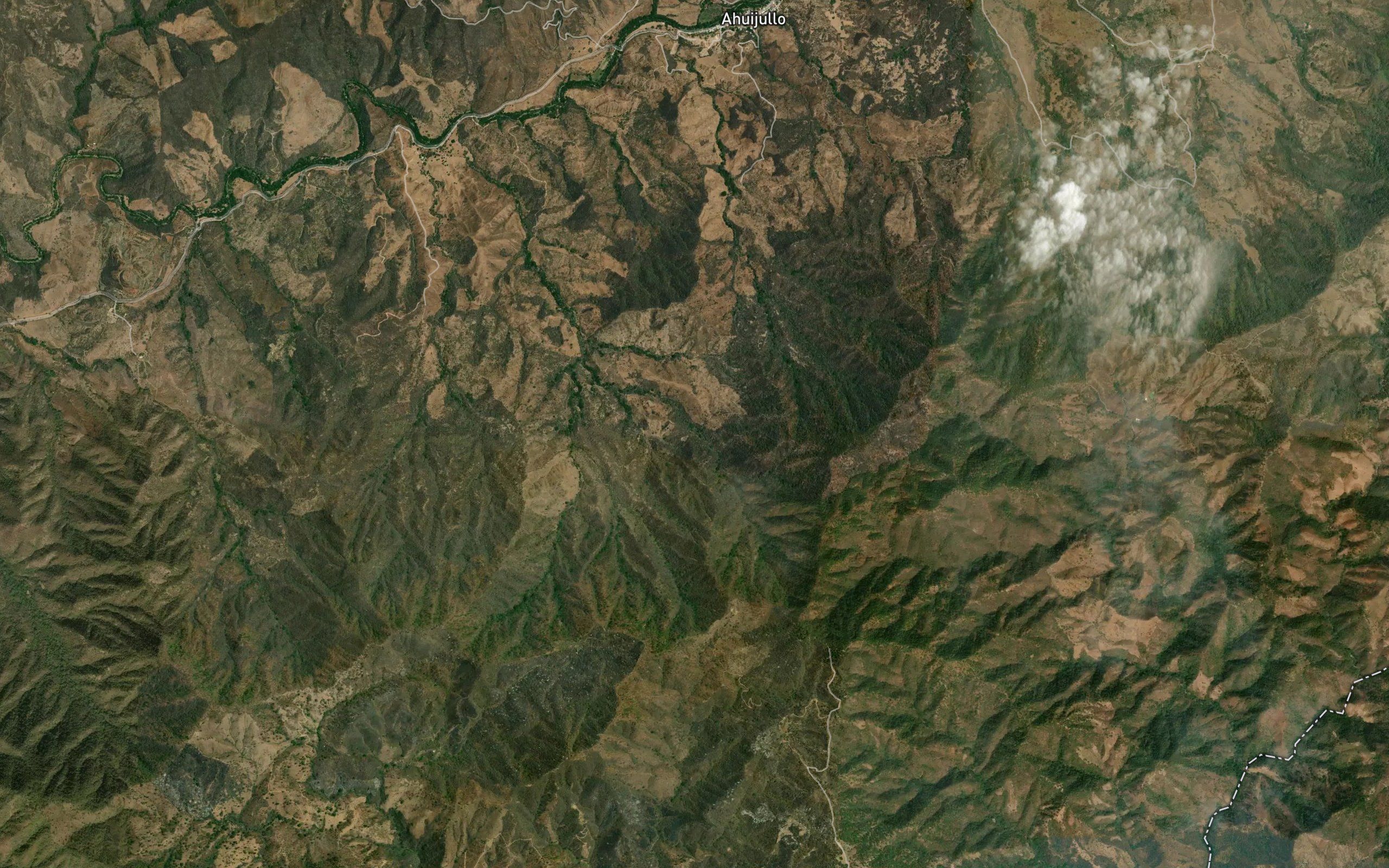 Barranca Seca