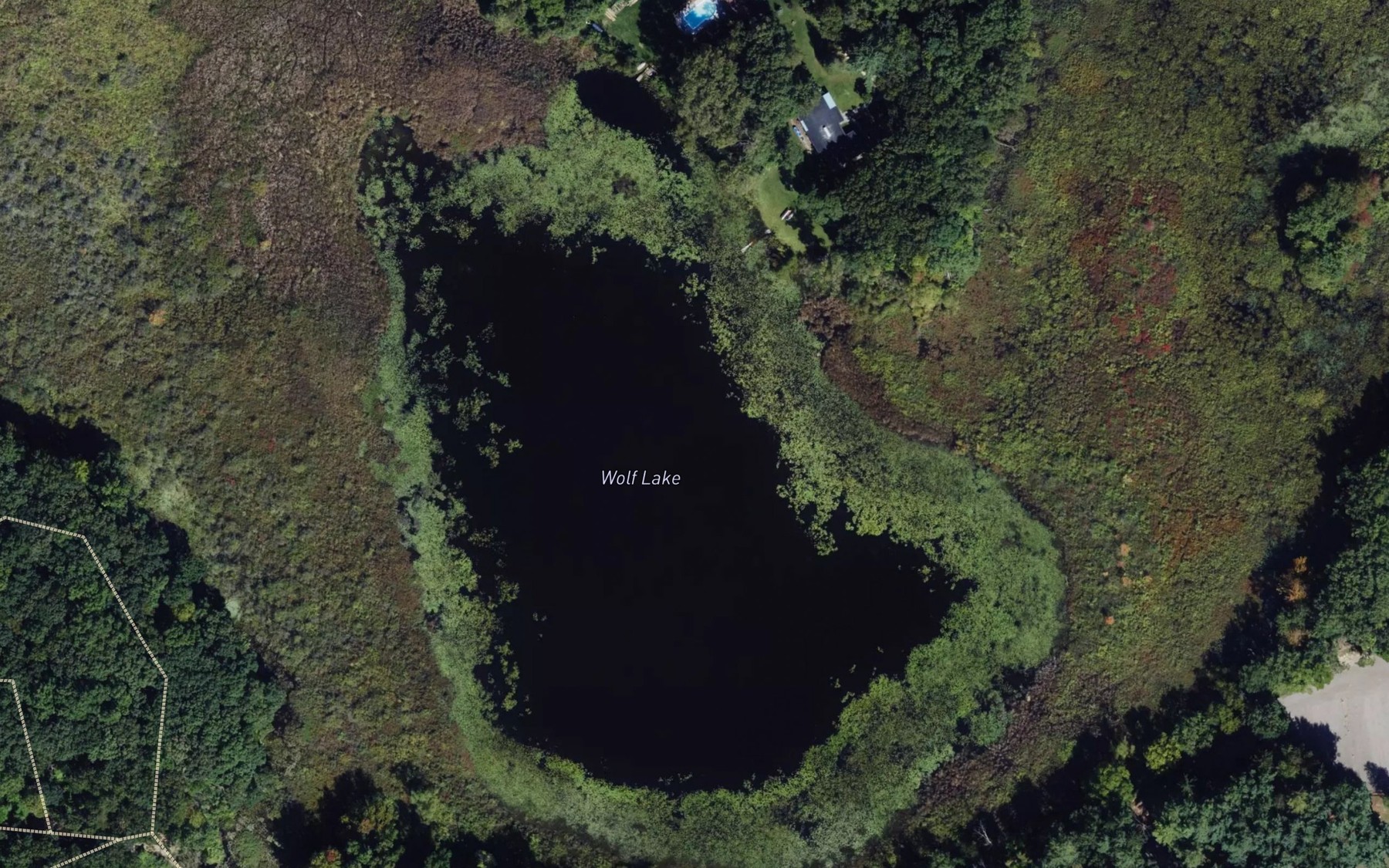 Satellite map of the Wolf Lake