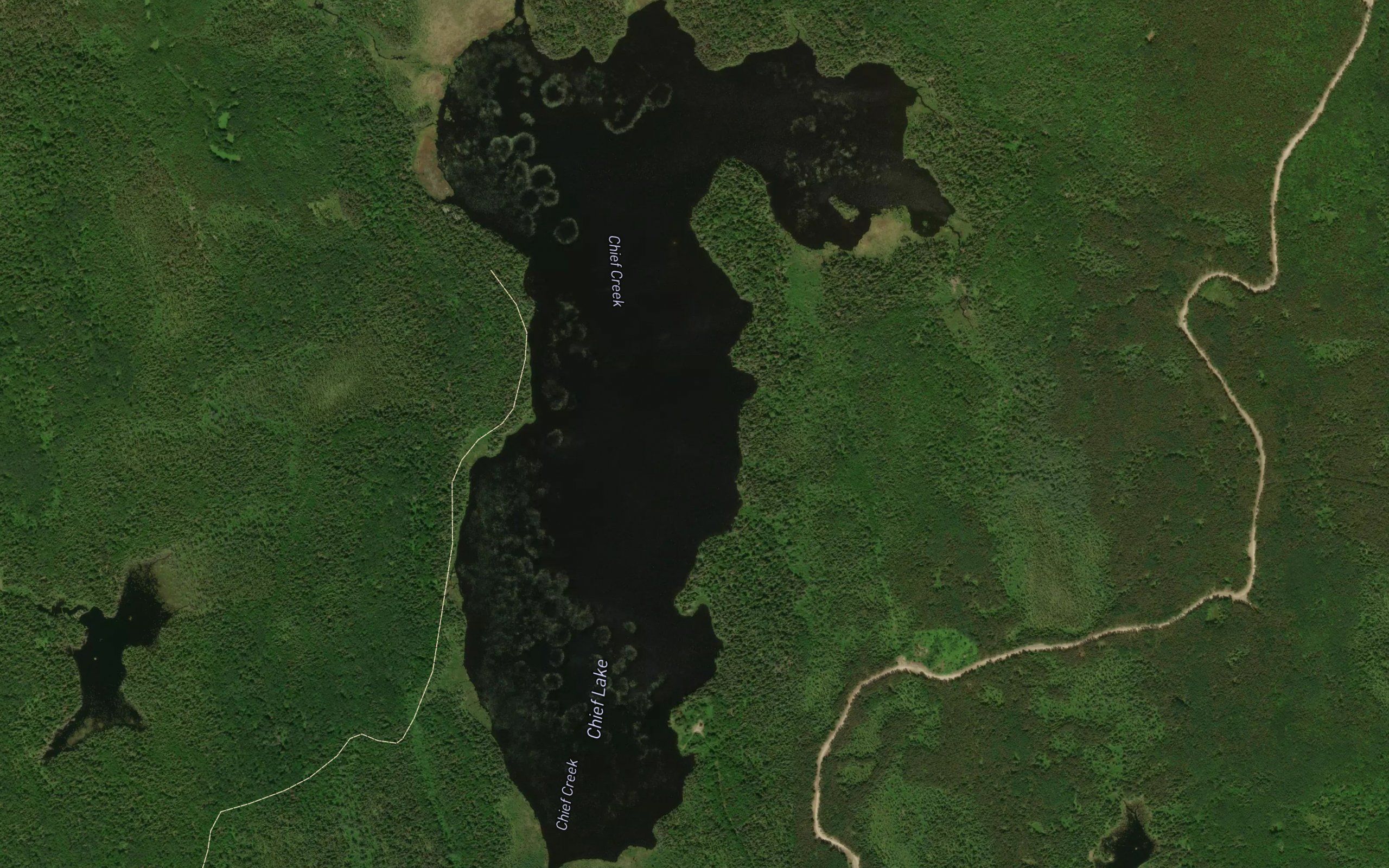 Chief Lake