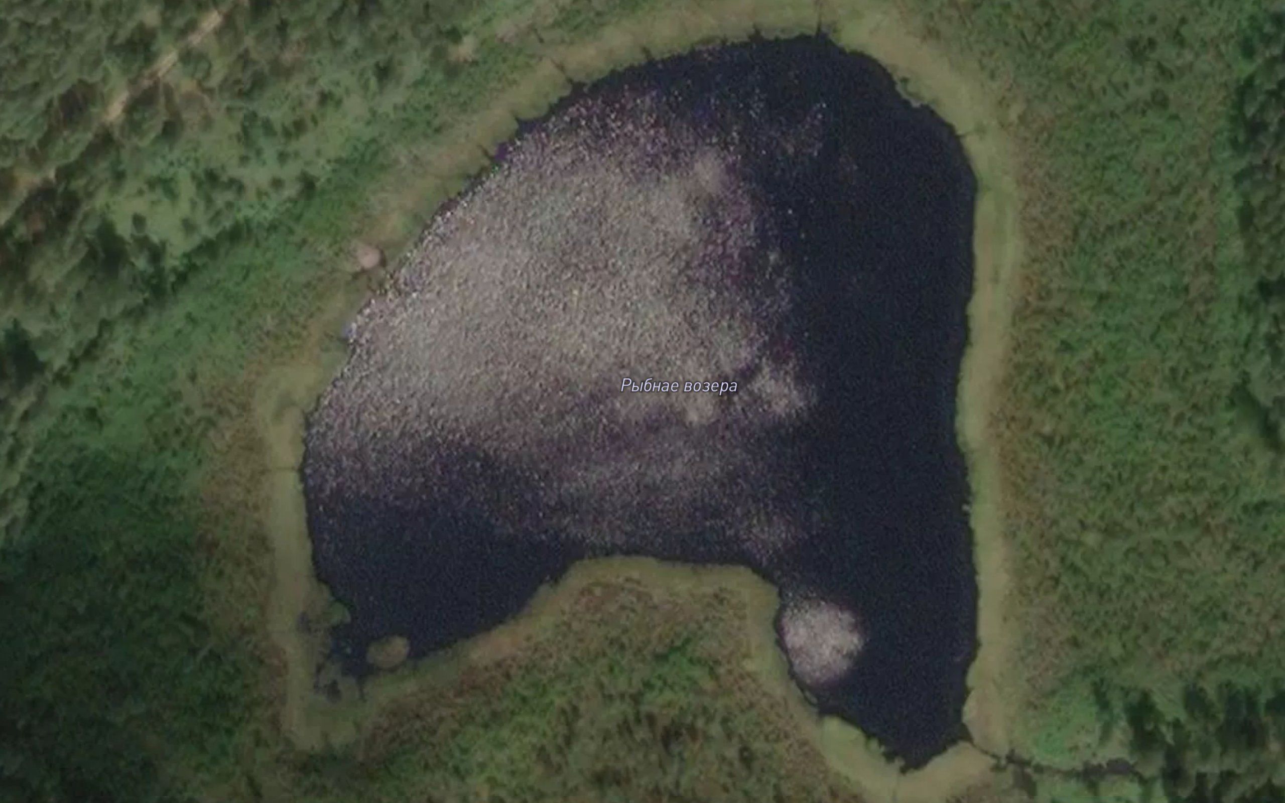 Ozero Rybnoye