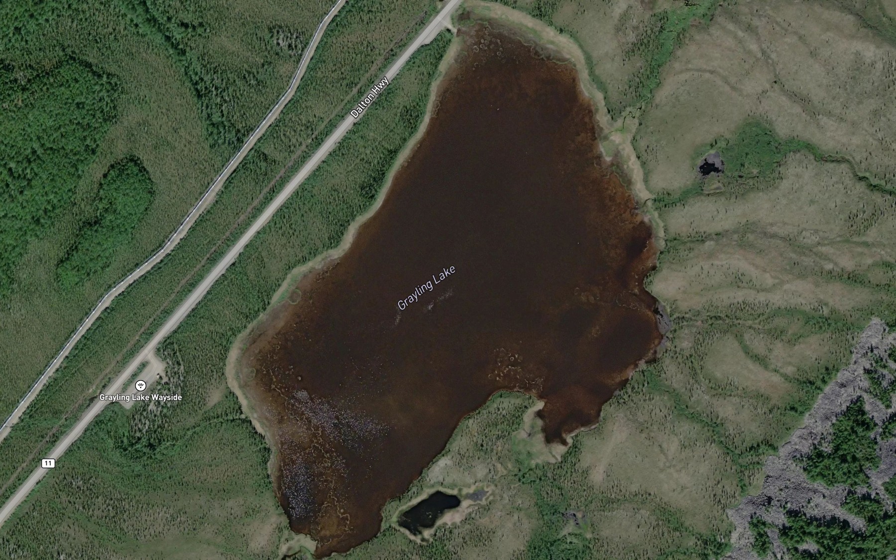 Satellite map of the Grayling Lake