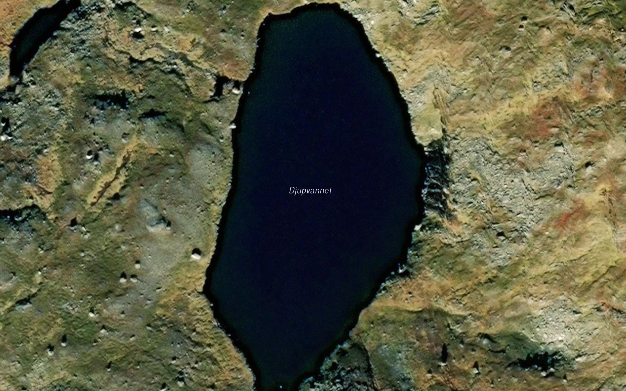Djupvannet