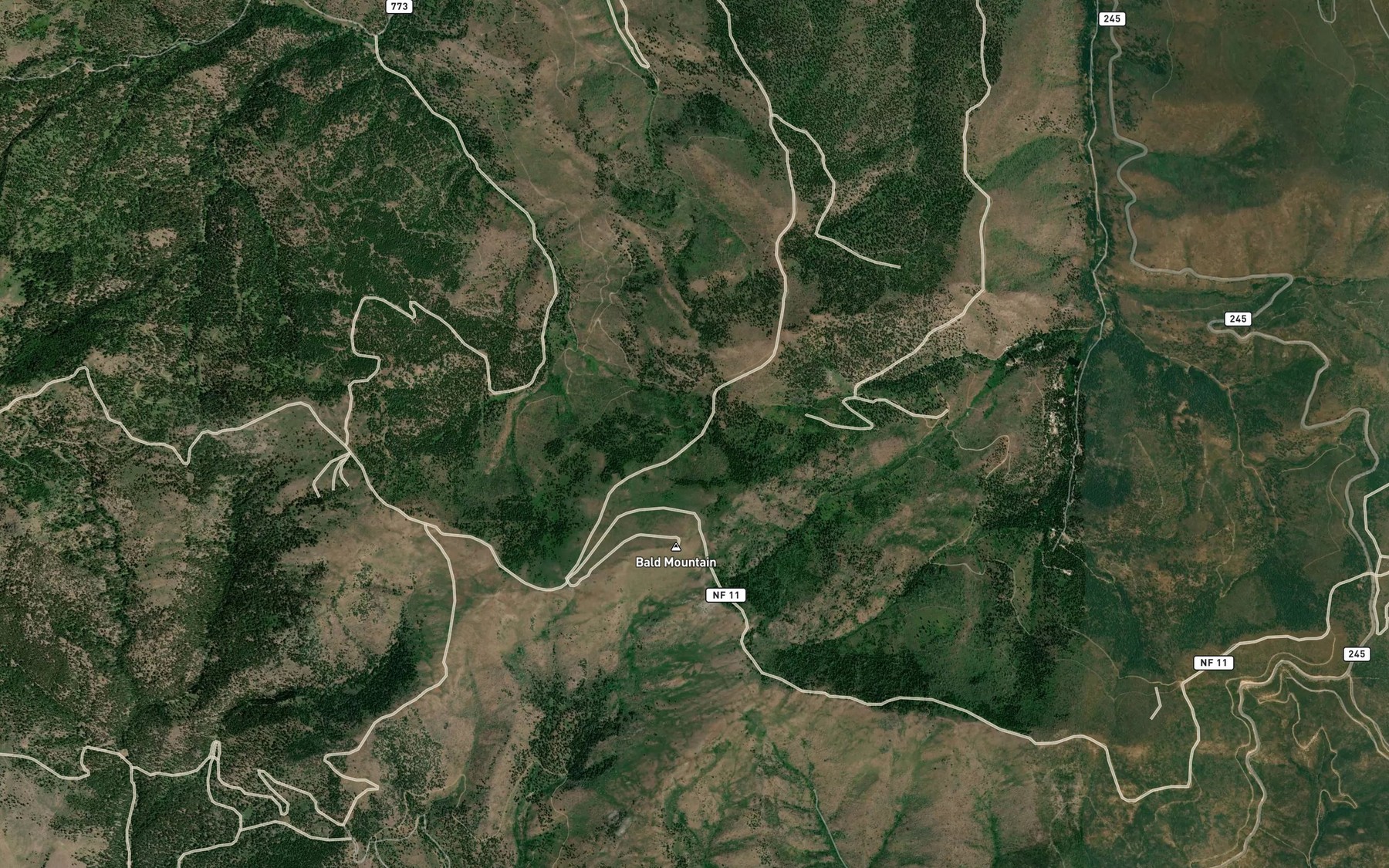 Satellite map of the Bald Mountain Spring