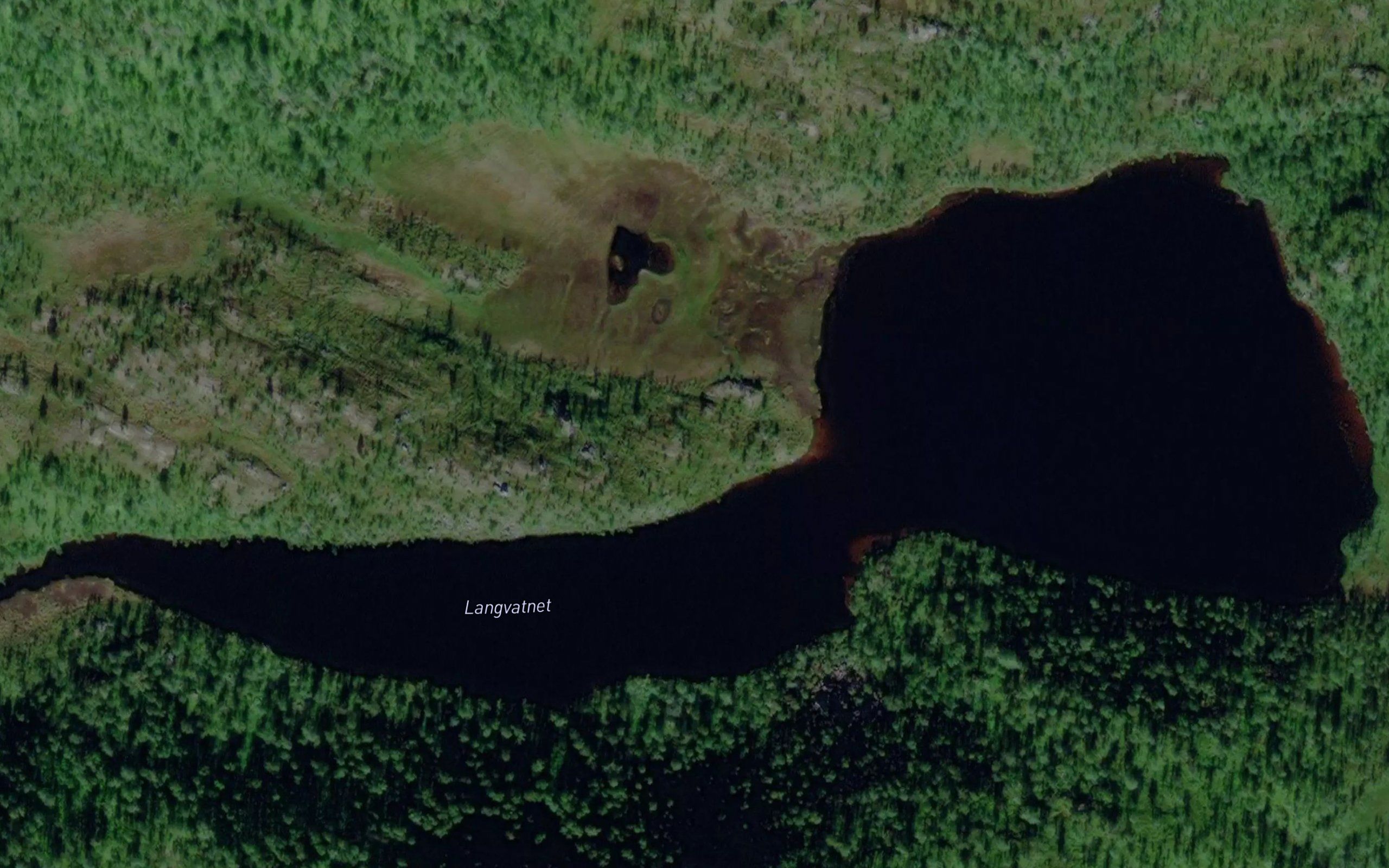 Langvatnet