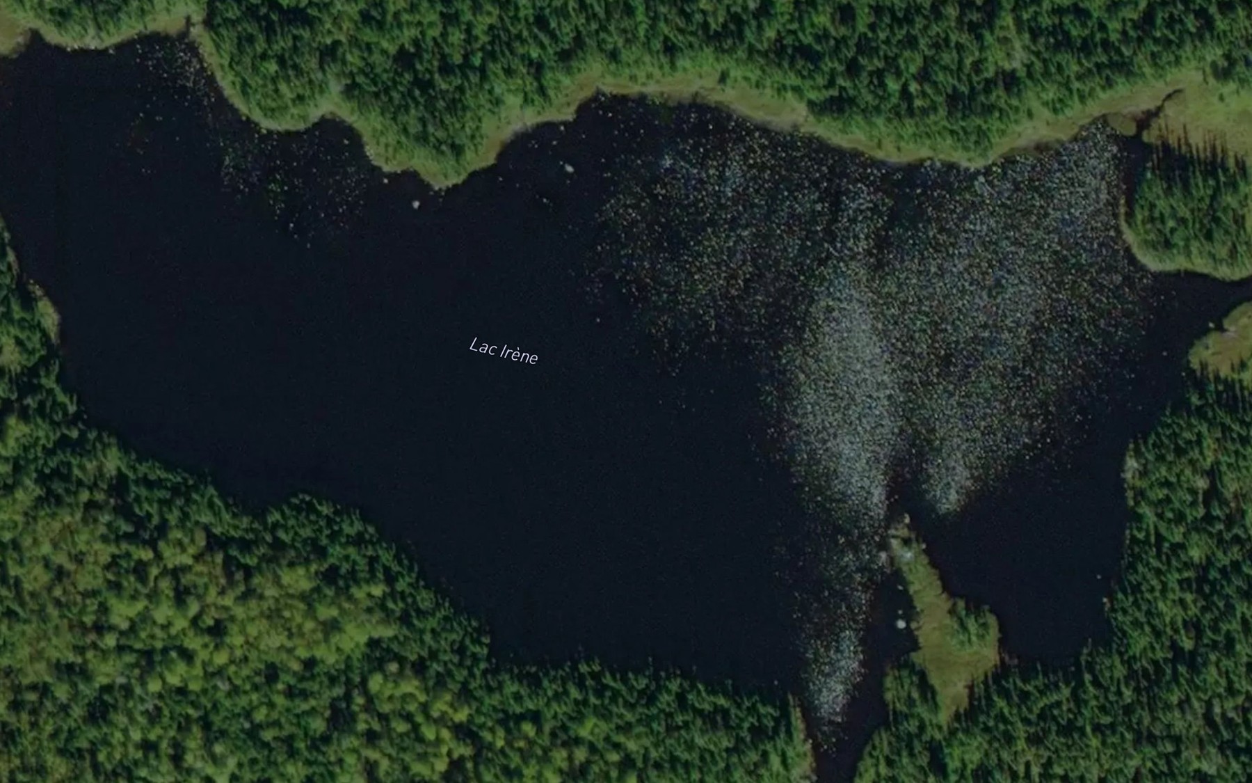 Satellite map of the Lac Irene