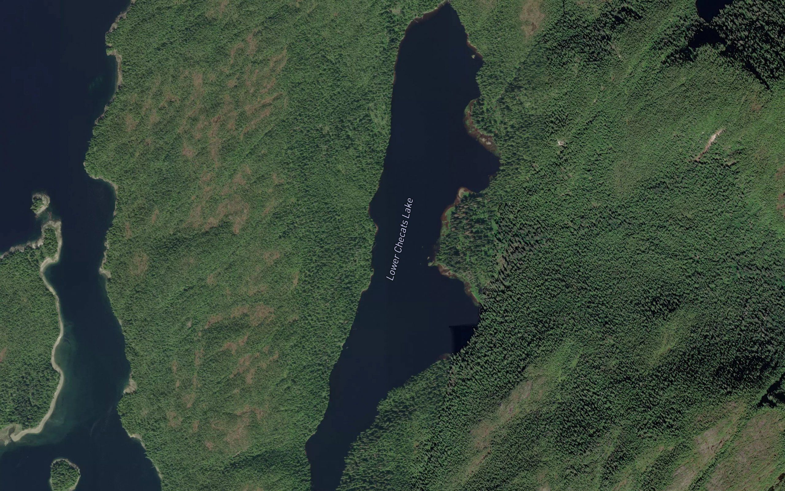 Lower Checats Lake