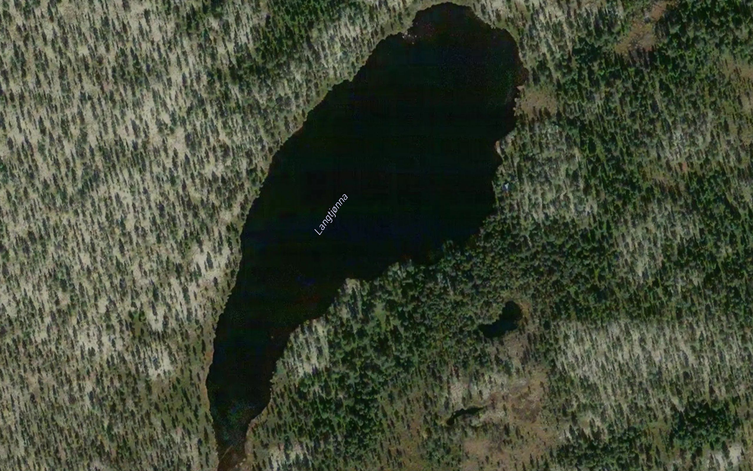 Langtjorna