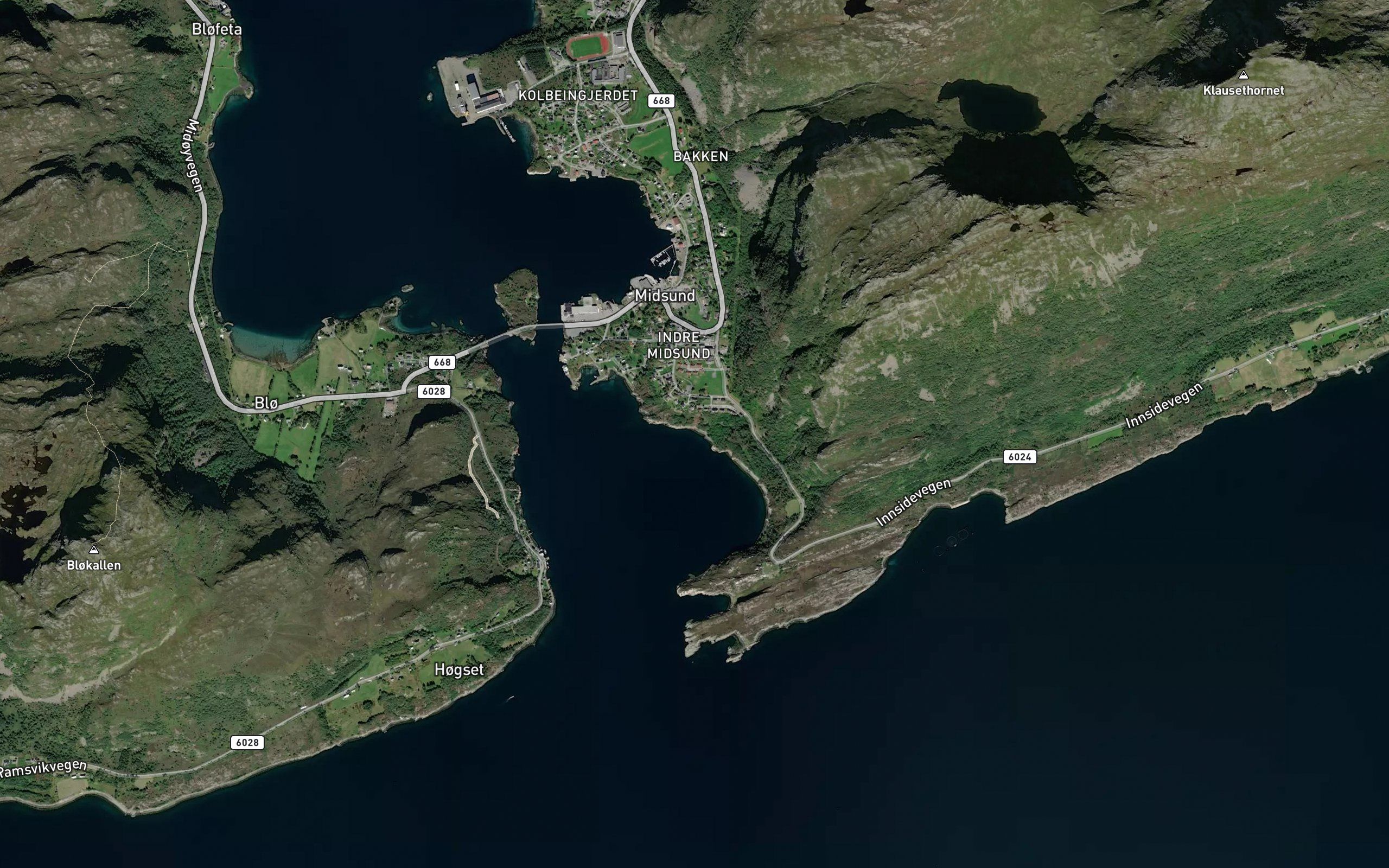 Heimstevika
