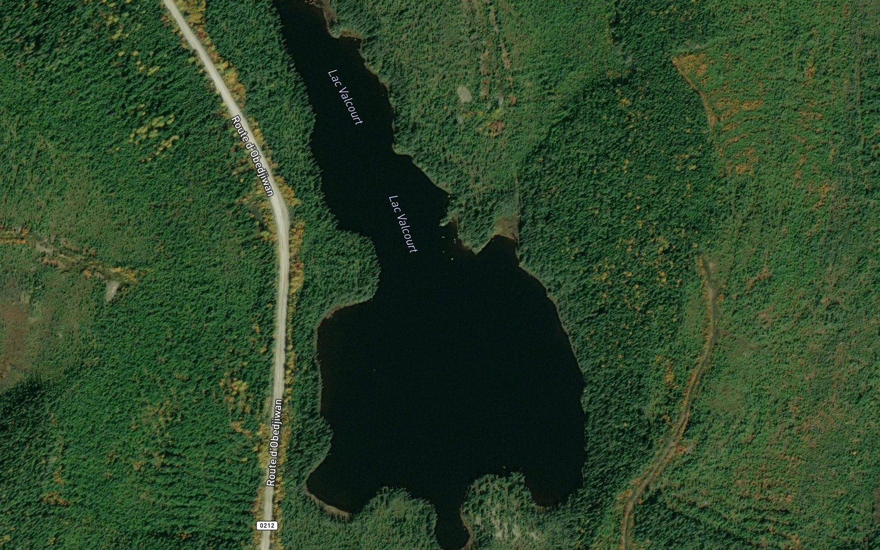 Satellite map of the Lac Valcourt