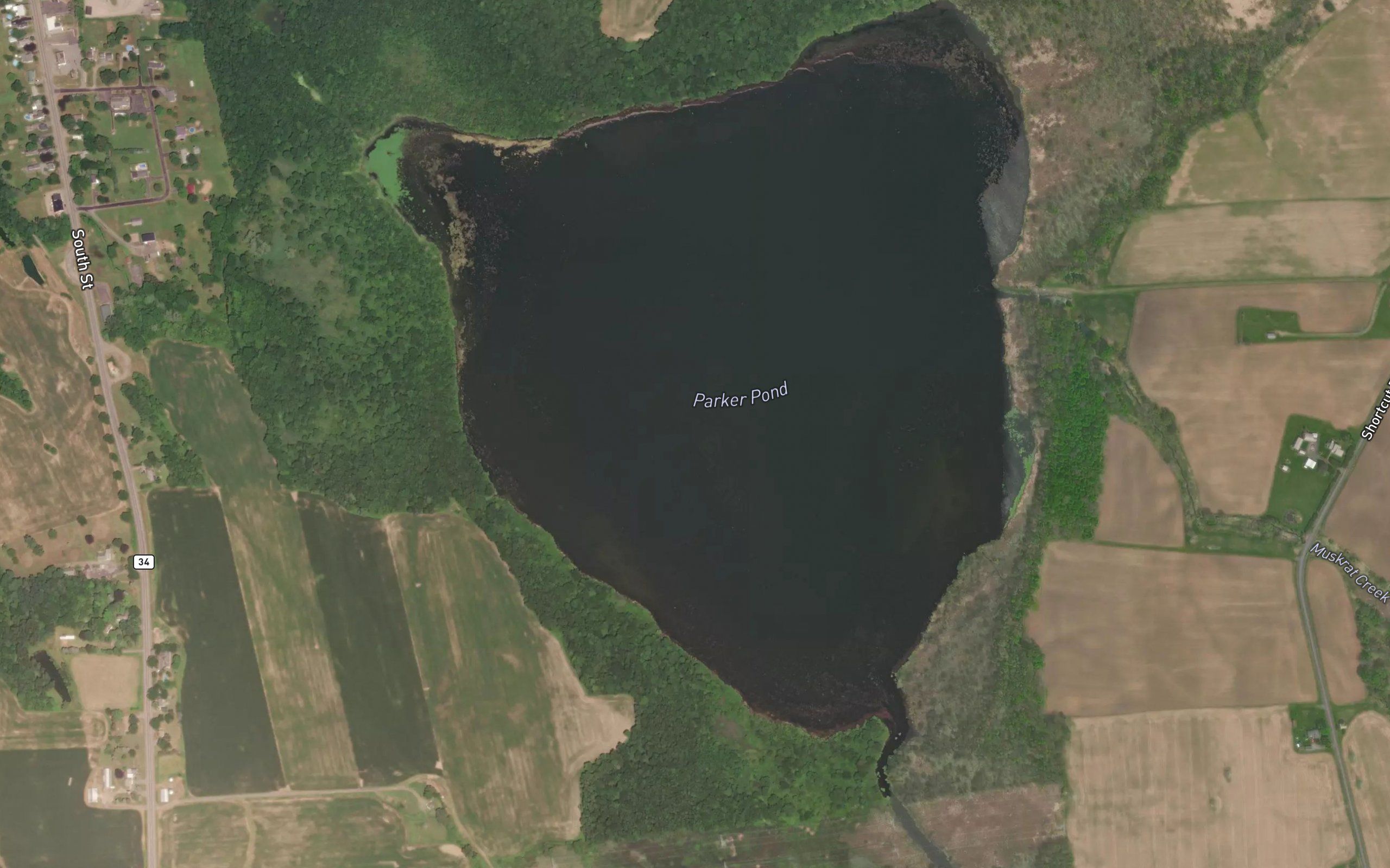 Parker Pond
