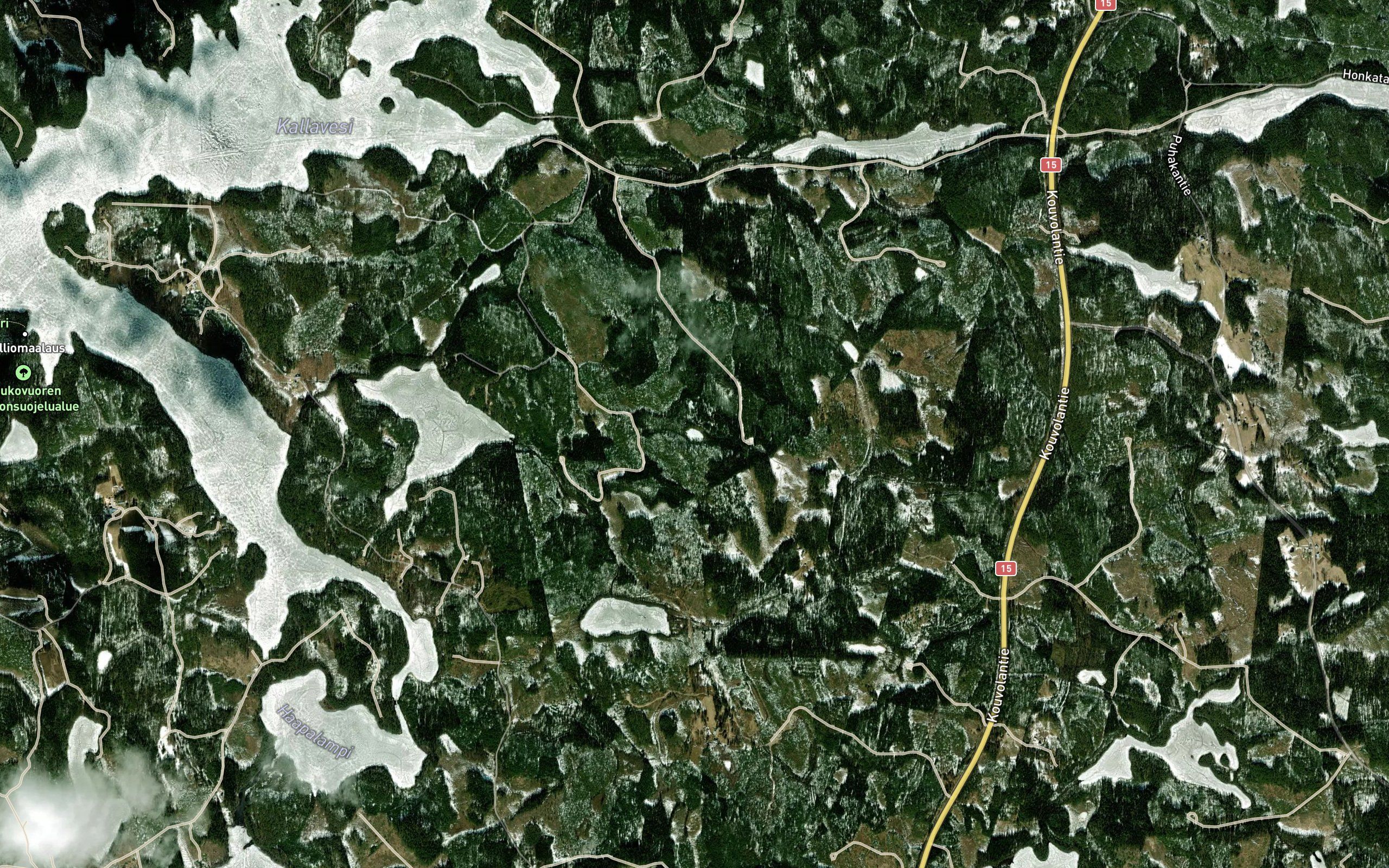 Lehmilampi