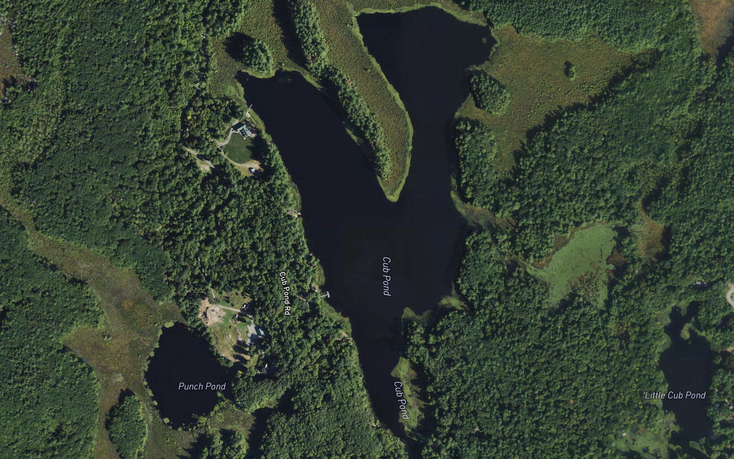 Cub Pond