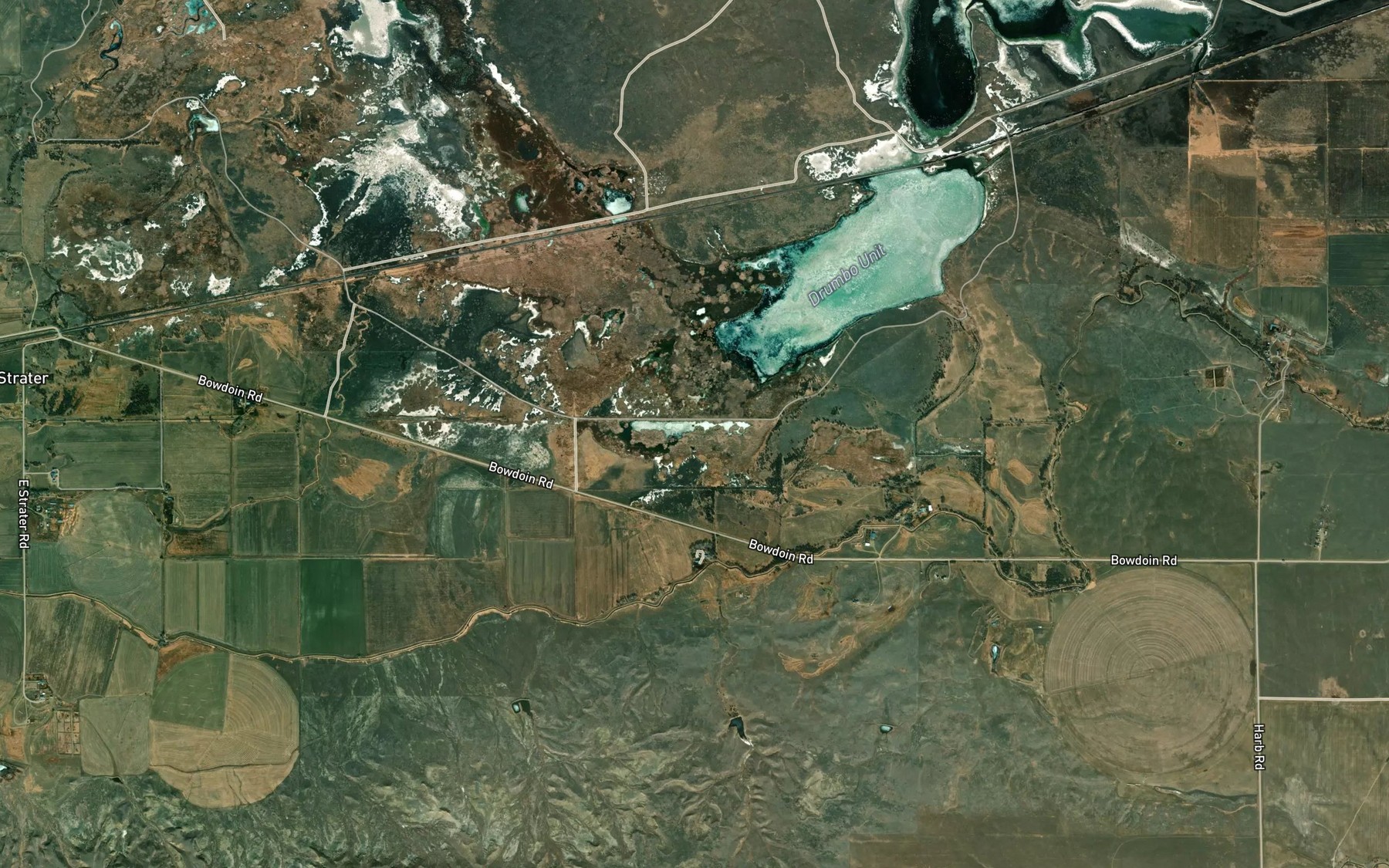 Satellite map of the Goose Island Pond