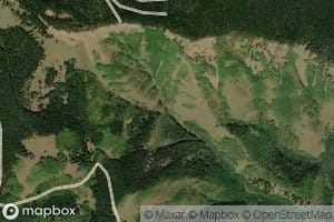 McKenzie Gulch Spring