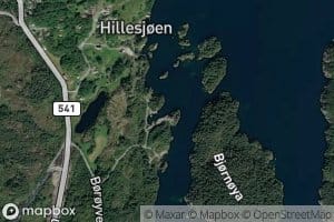 Skutevika