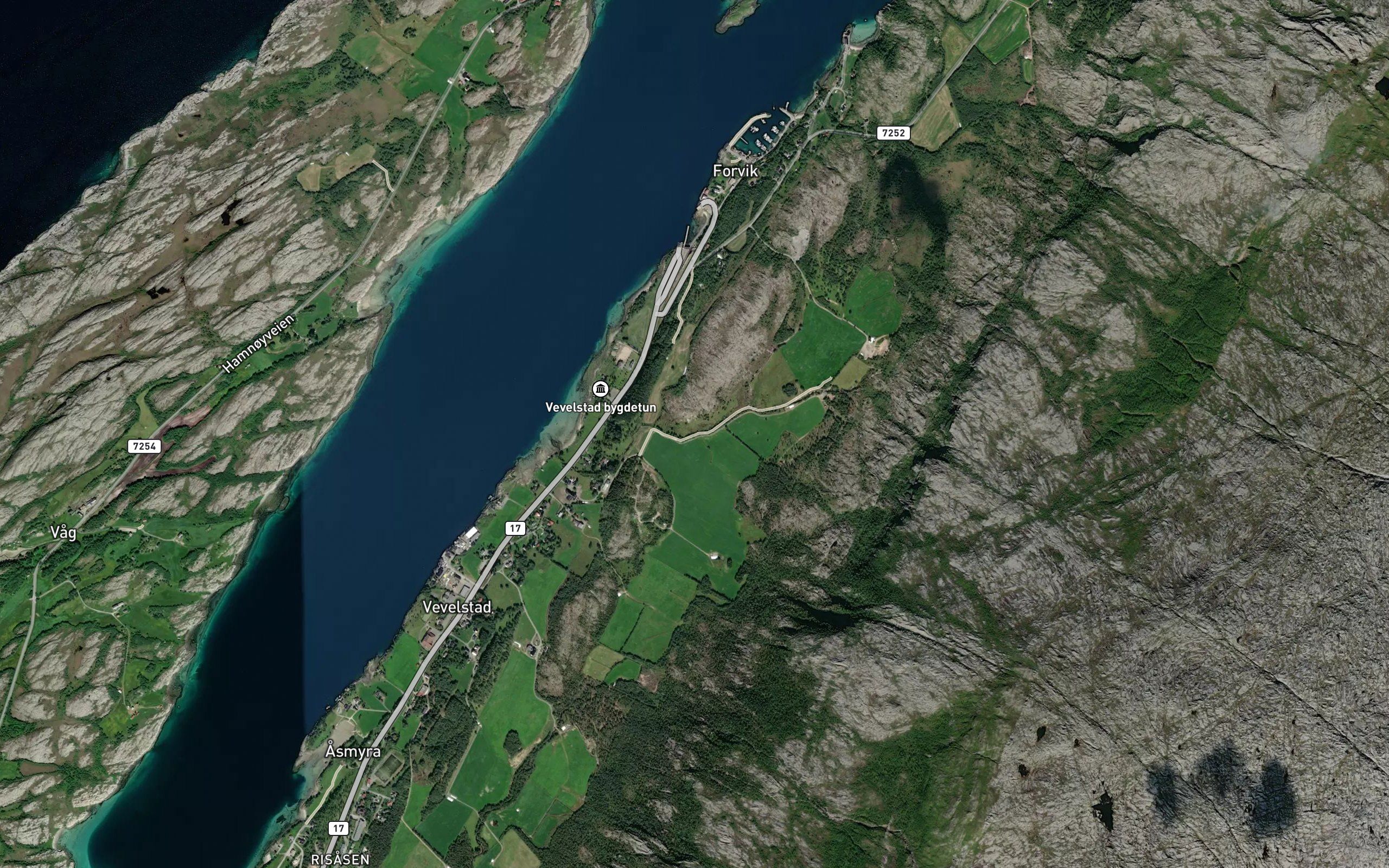 Gronbechelva