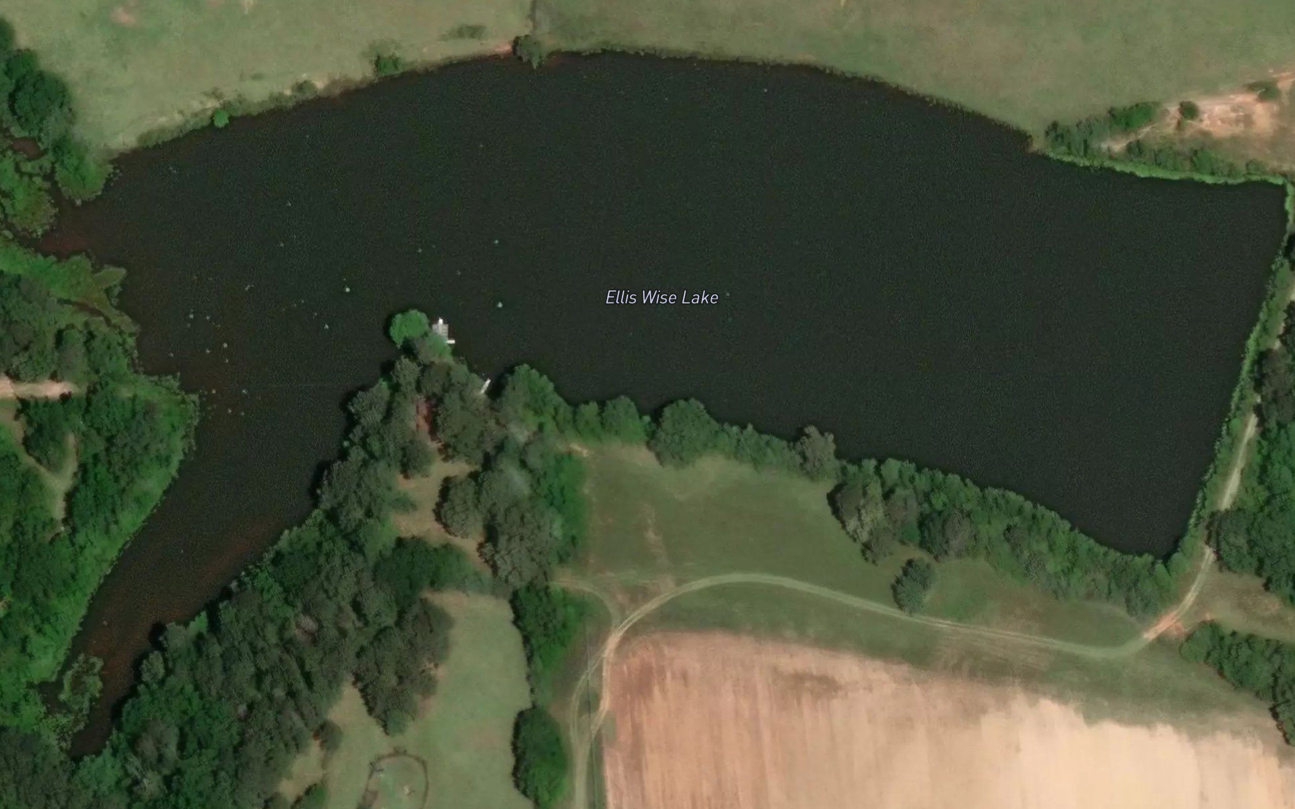 Ellis Wise Lake
