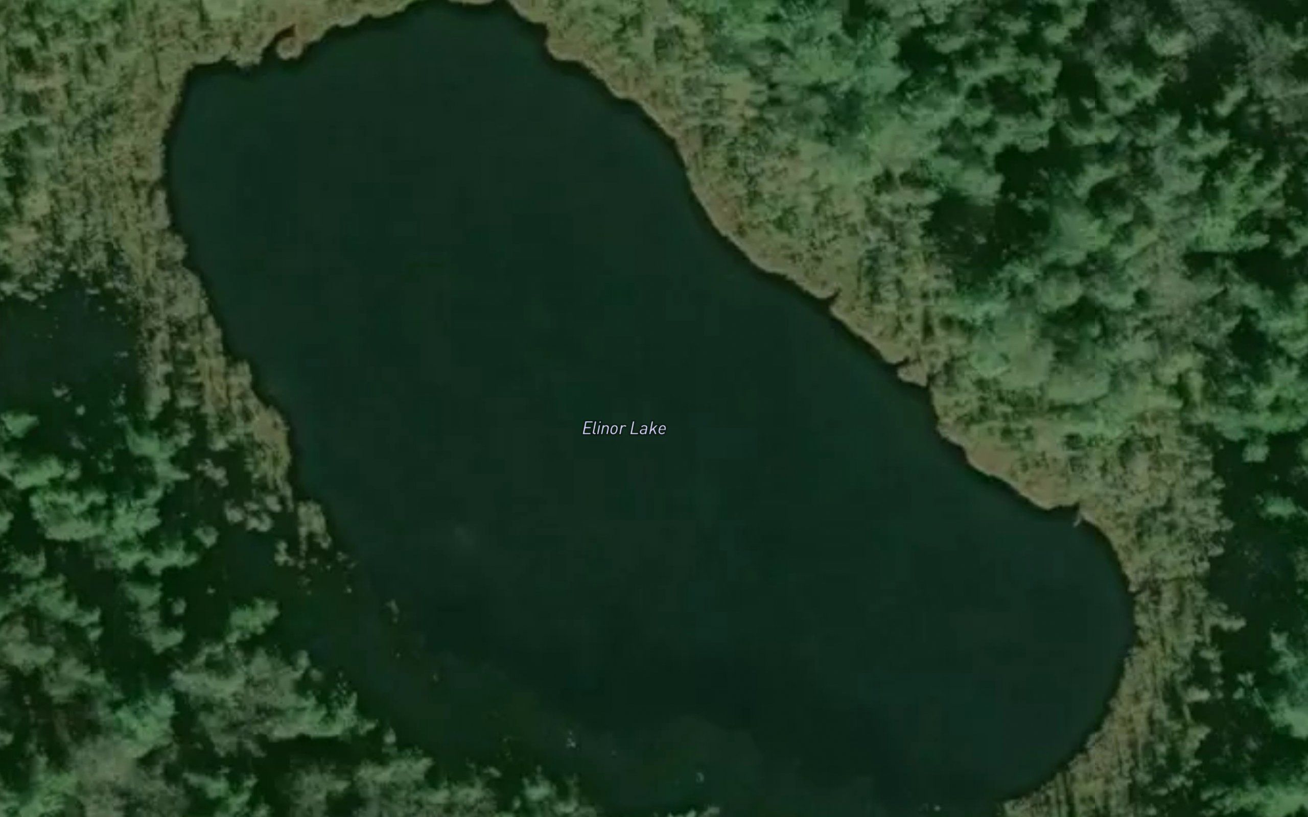 Elinor Lake