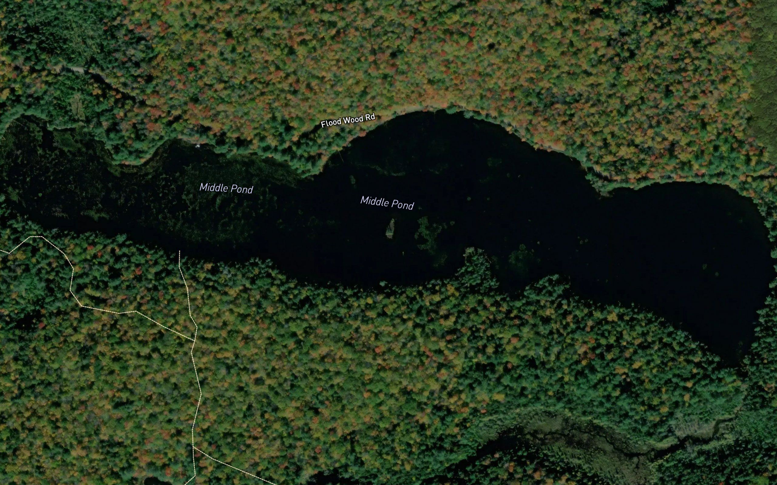 Middle Pond