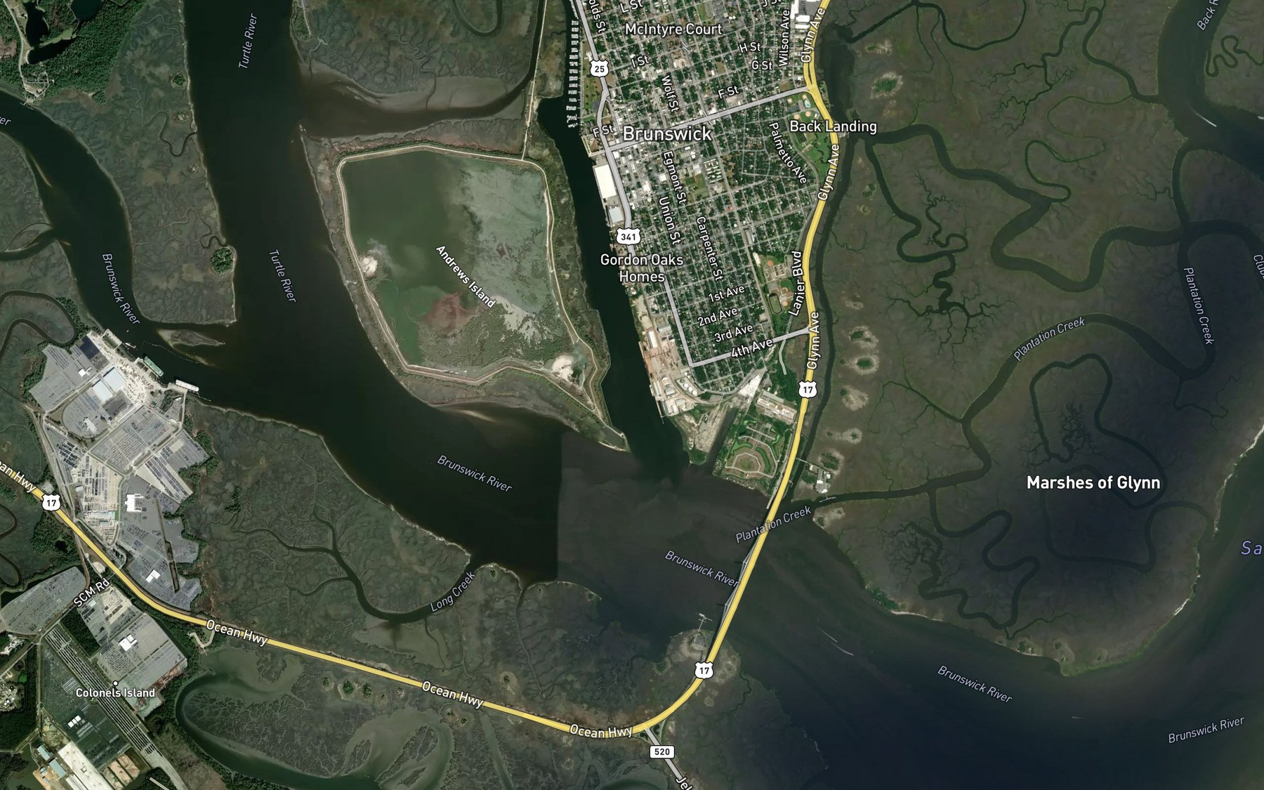 Satellite map of the Oglethorpe Bay