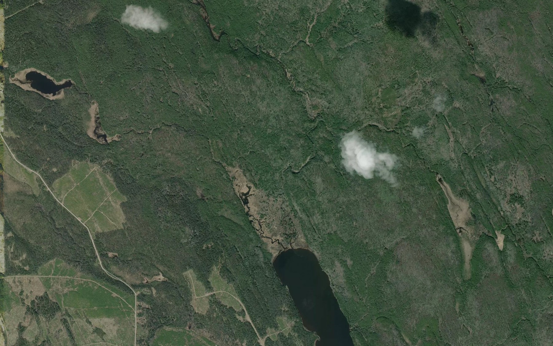 Satellite map of the Tahlo Creek