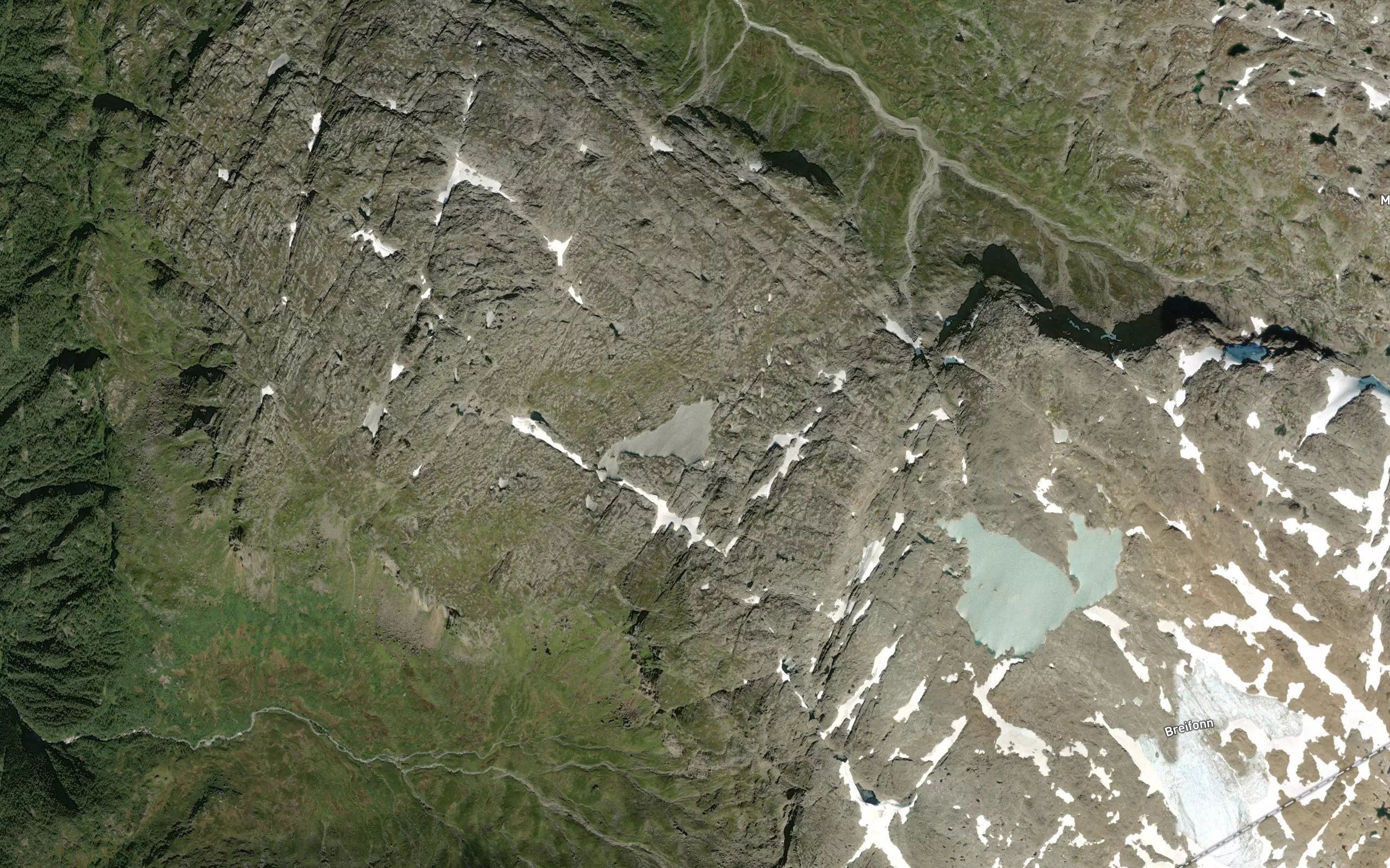 Skjemmedalstjorna